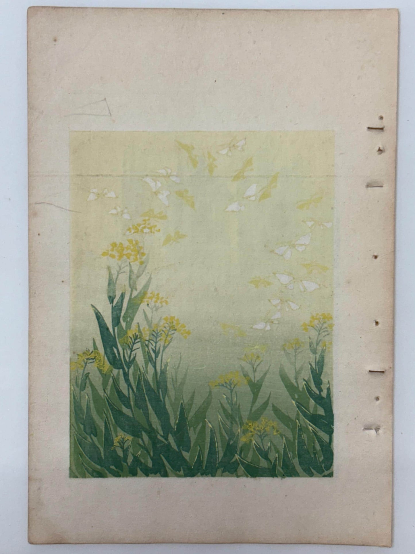 Japanese woodblock print, Around 1900, Shin-Bijutsukai 9