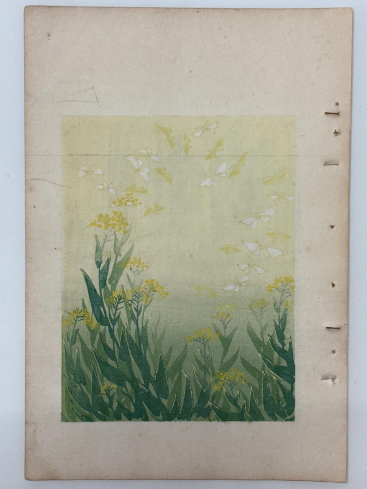 Japanese woodblock print, Around 1900, Shin-Bijutsukai 9