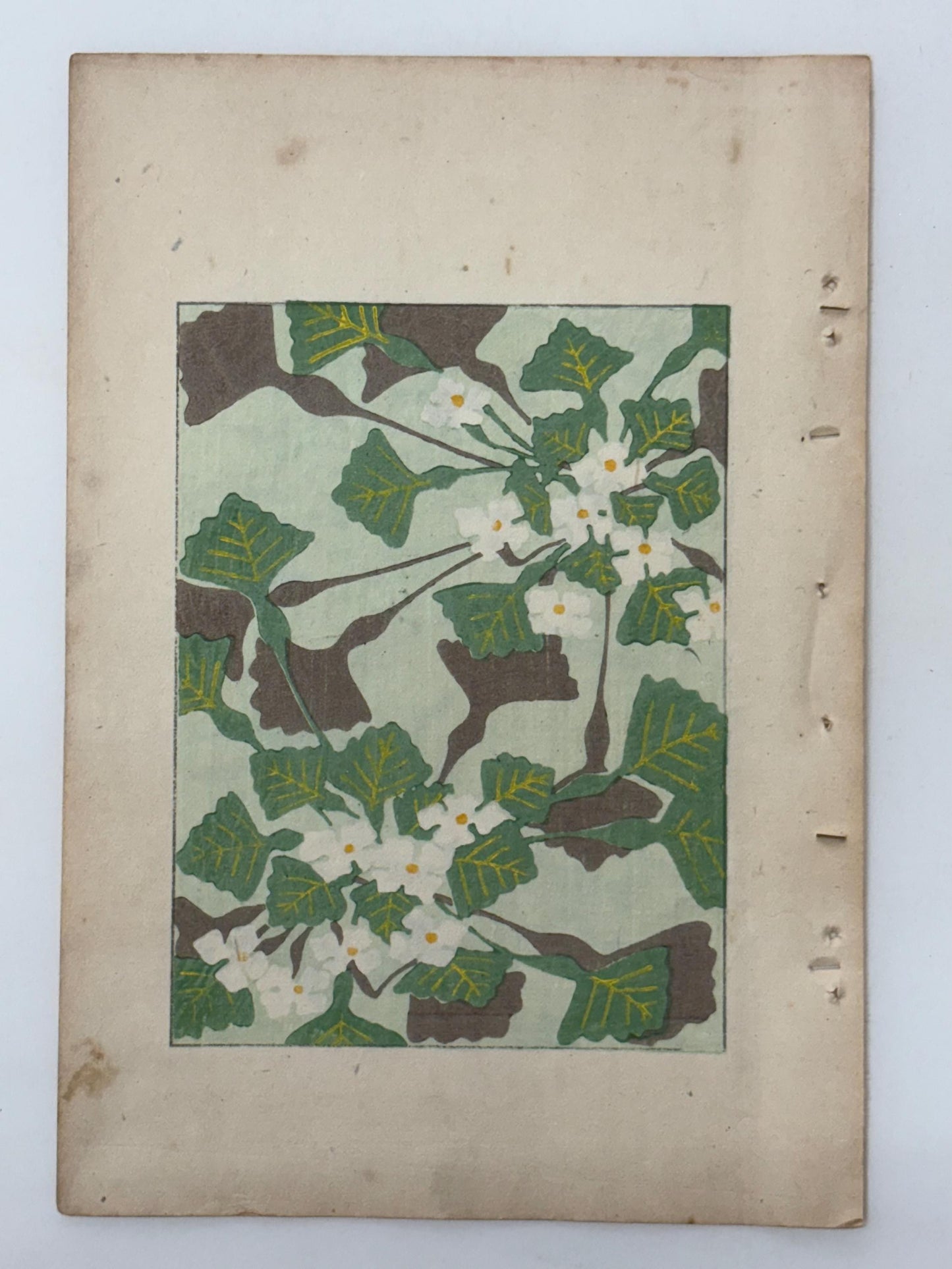 Japanese Antique Original Woodcut Print, Japanese design, Around 1900, Shin-Bijutsukai 11, Antique Japanese print, Kimono Design.