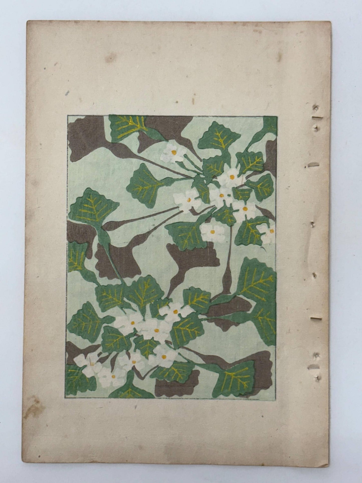 Japanese woodblock print, Around 1900, Shin-Bijutsukai 11