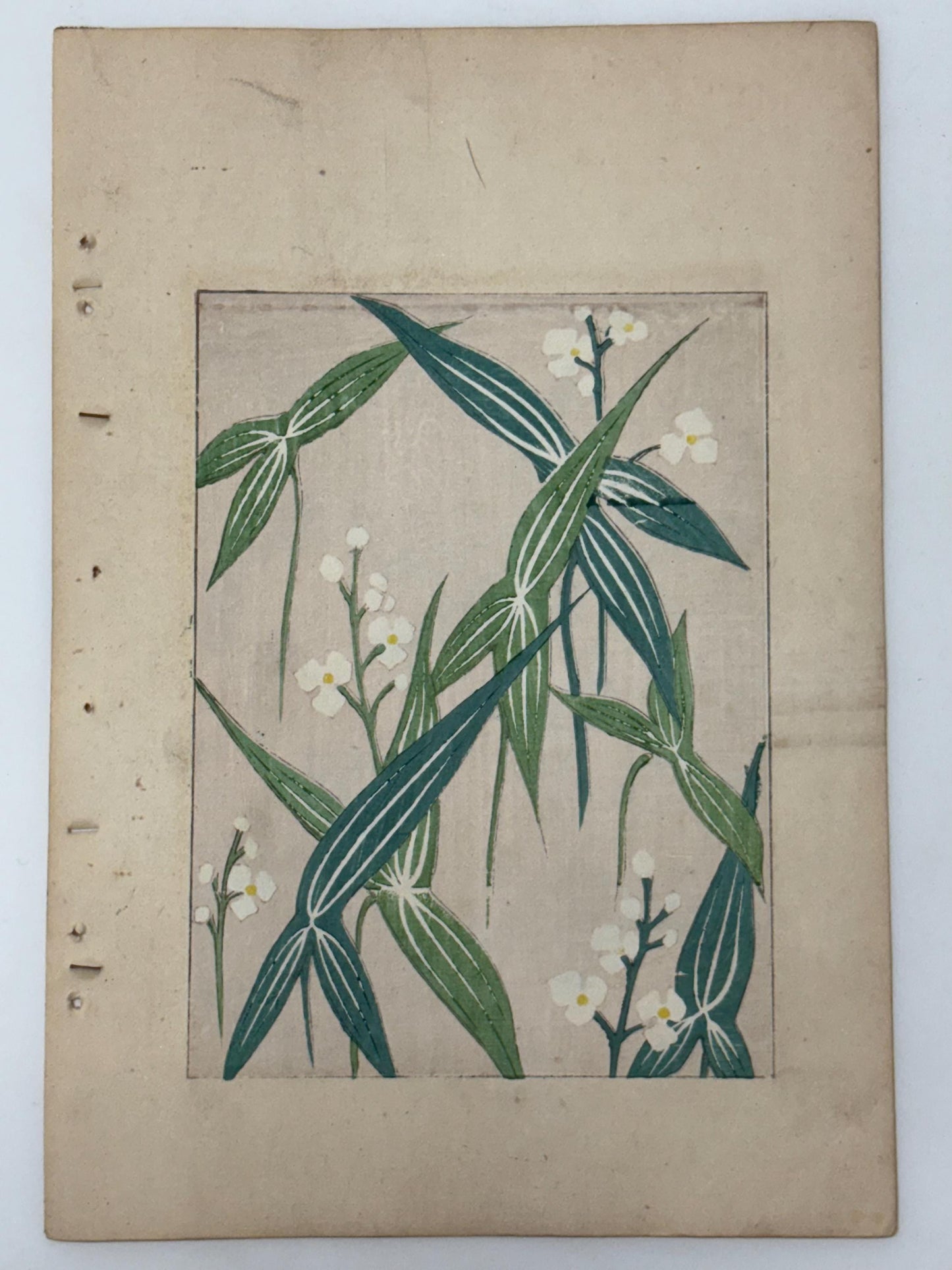 Japanese woodblock print, Around 1900, Shin-Bijutsukai 11