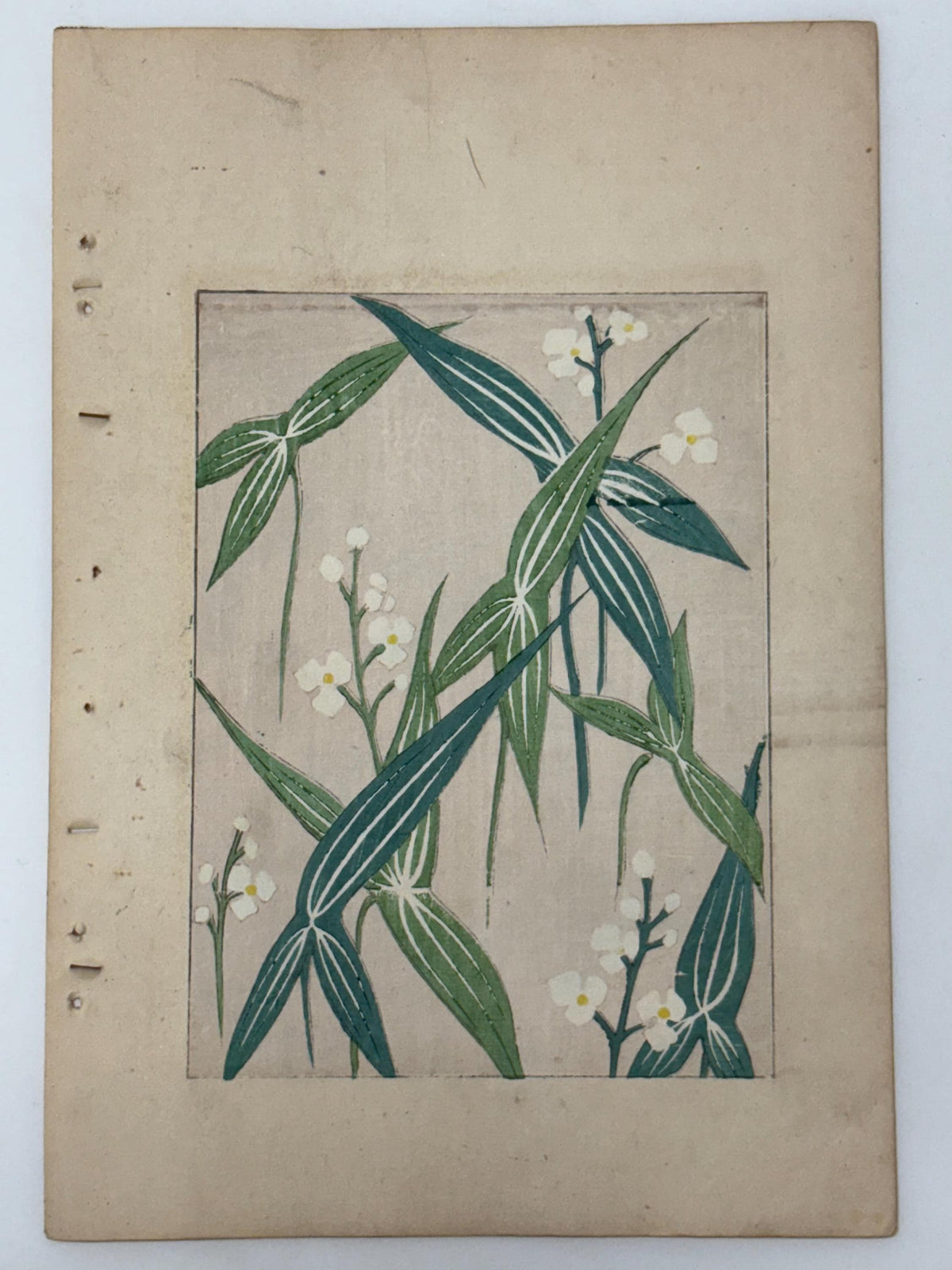 Japanese woodblock print, Around 1900, Shin-Bijutsukai 11