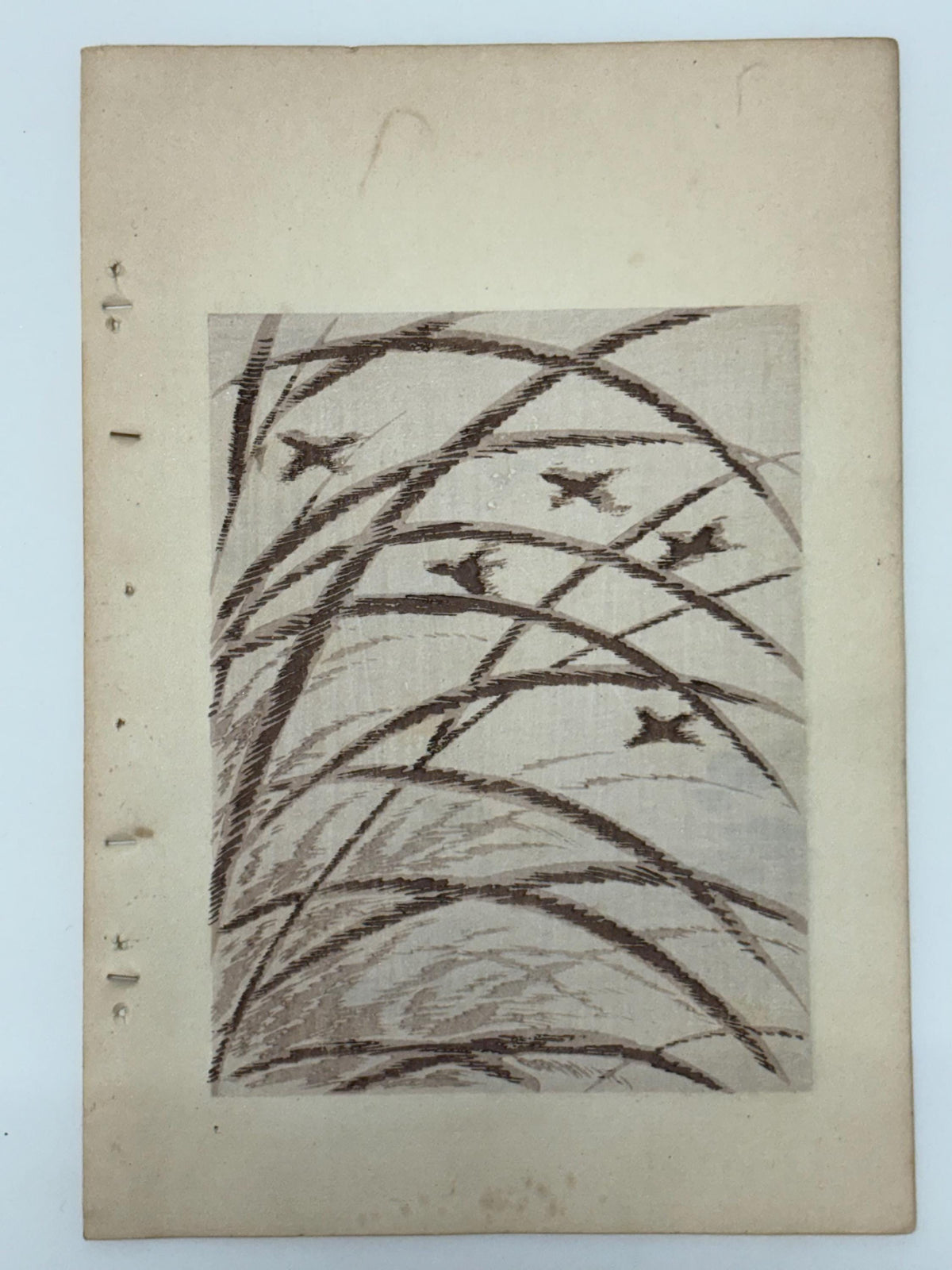 Japanese woodblock print, Around 1900, Shin-Bijutsukai 11