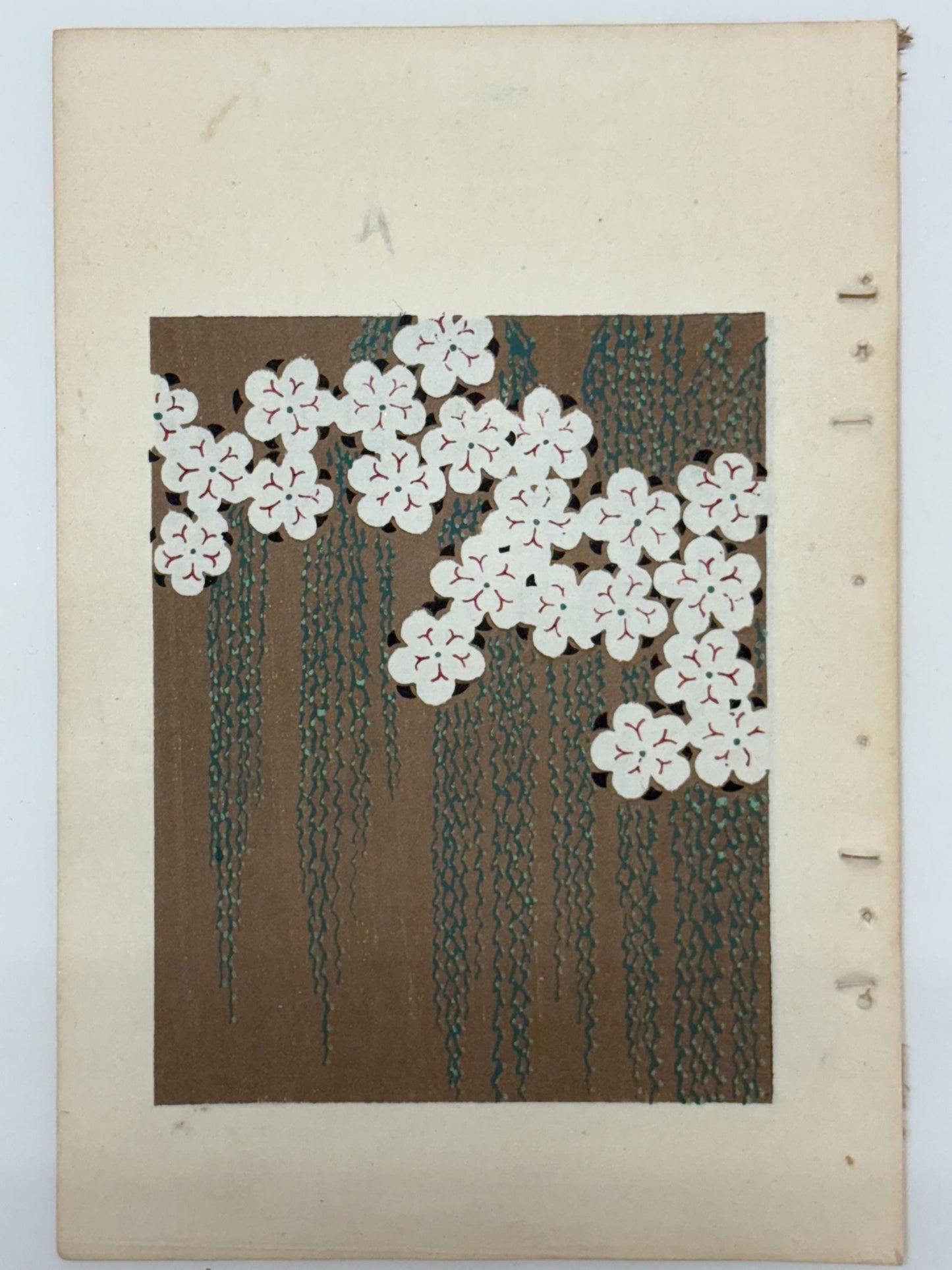 Japanese woodblock print, Around 1900, Shin-Bijutsukai 12