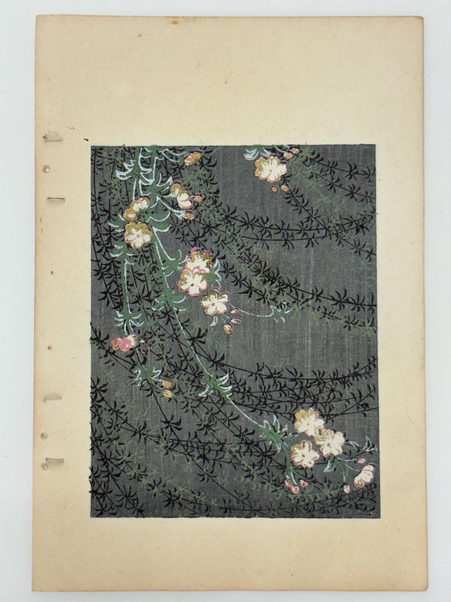 Japanese woodblock print, Around 1900, Shin-Bijutsukai 12