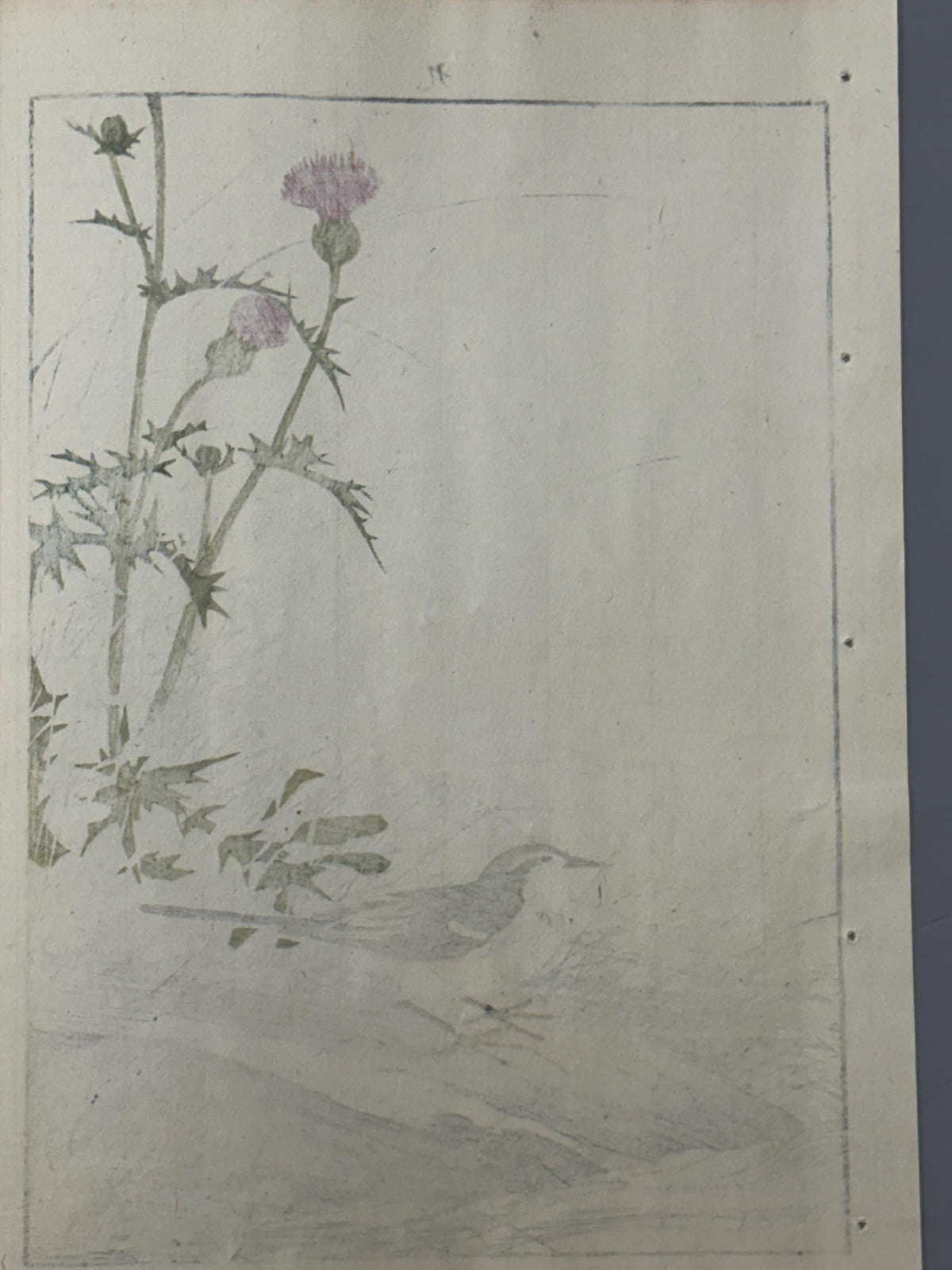 Japanese Antique Original Woodcut Print, 1892, Imao Keinen, "Japanese thistle, Grey Wagtail"