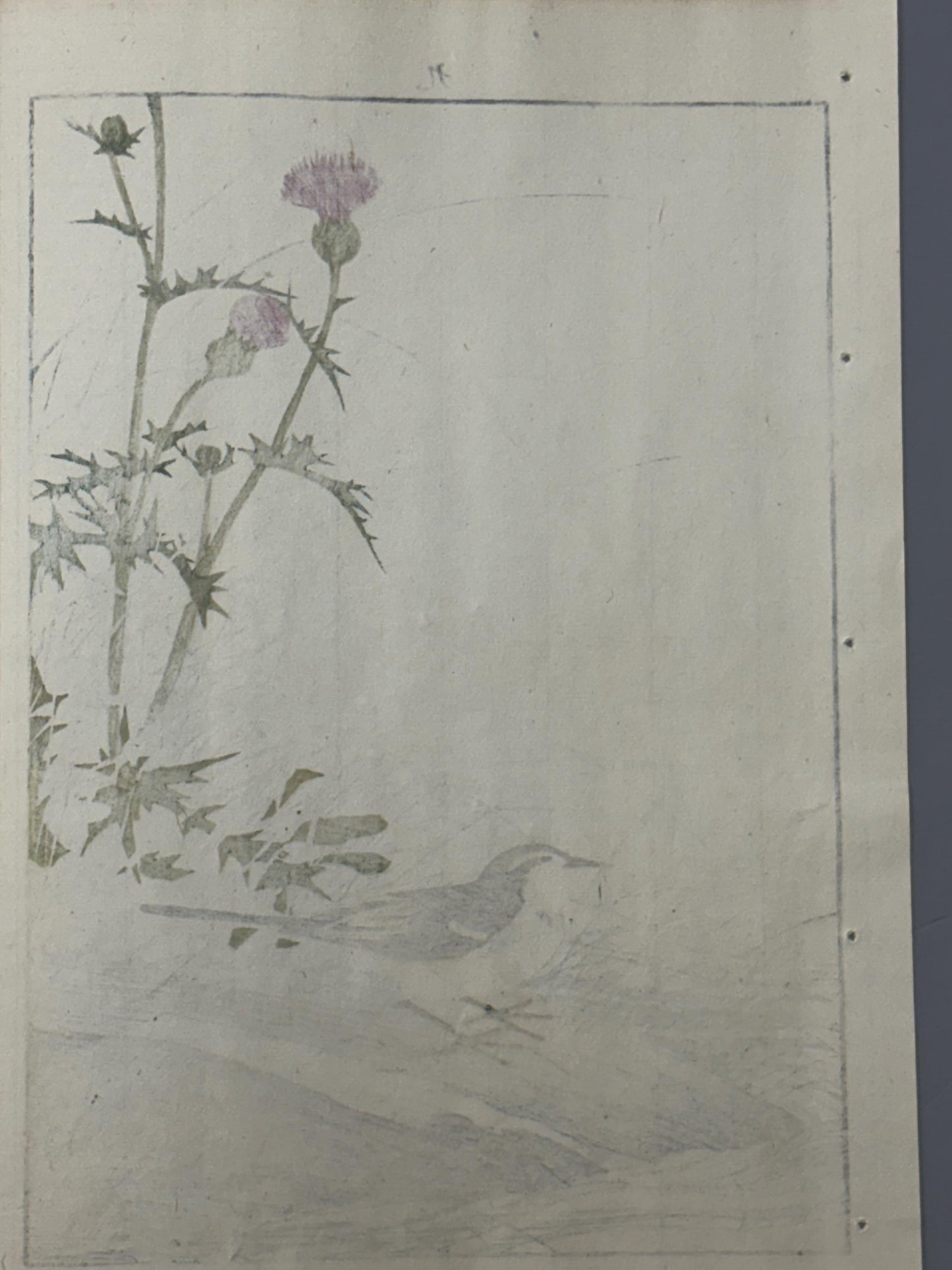Japanese Antique Original Woodcut Print, 1892, Imao Keinen, "Japanese thistle, Grey Wagtail"