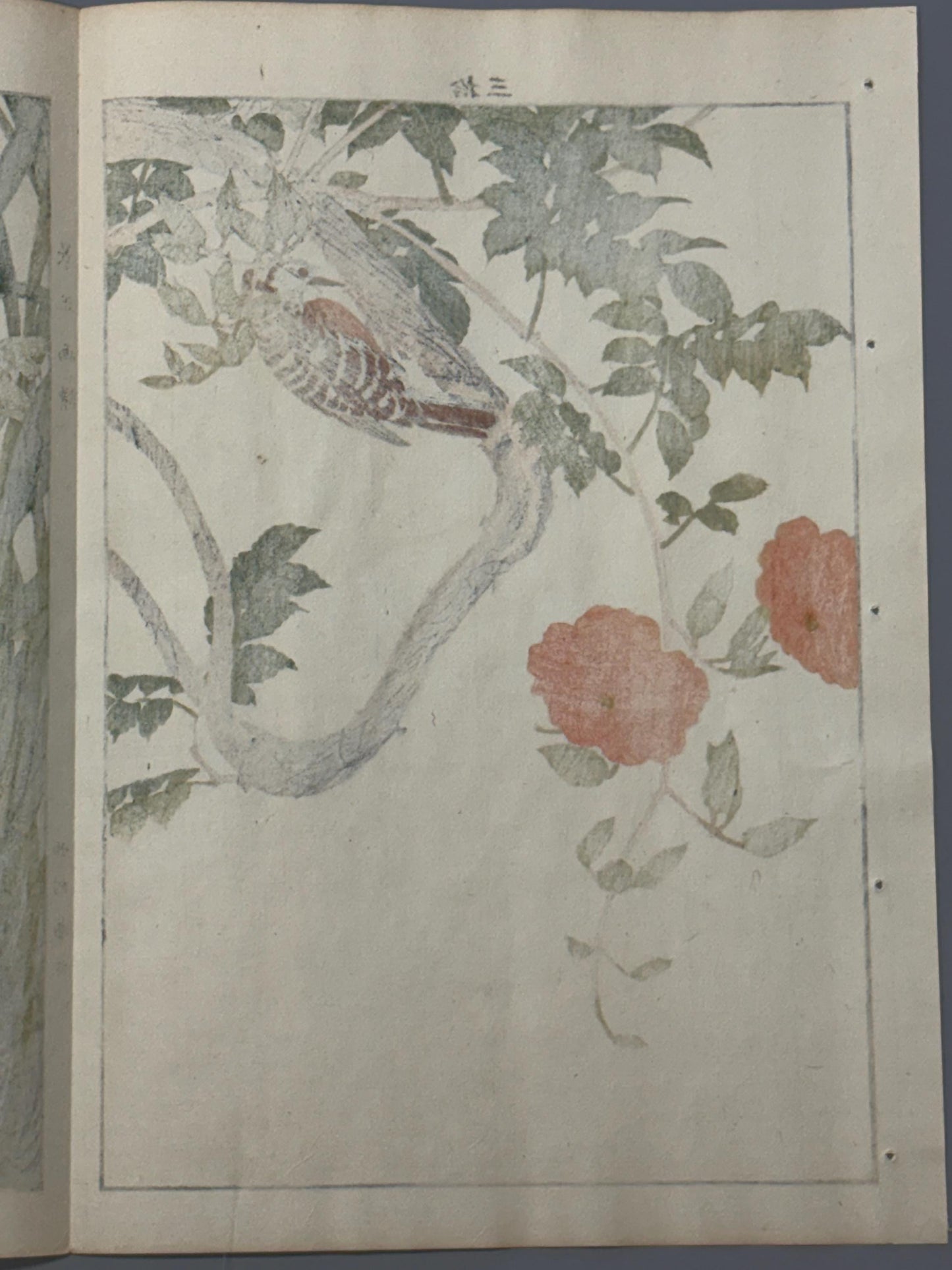 Japanese Antique Original Woodcut Print, 1892, Imao Keinen, "Chinese trumpet vine, Japanese Pygmy Woodpecker"