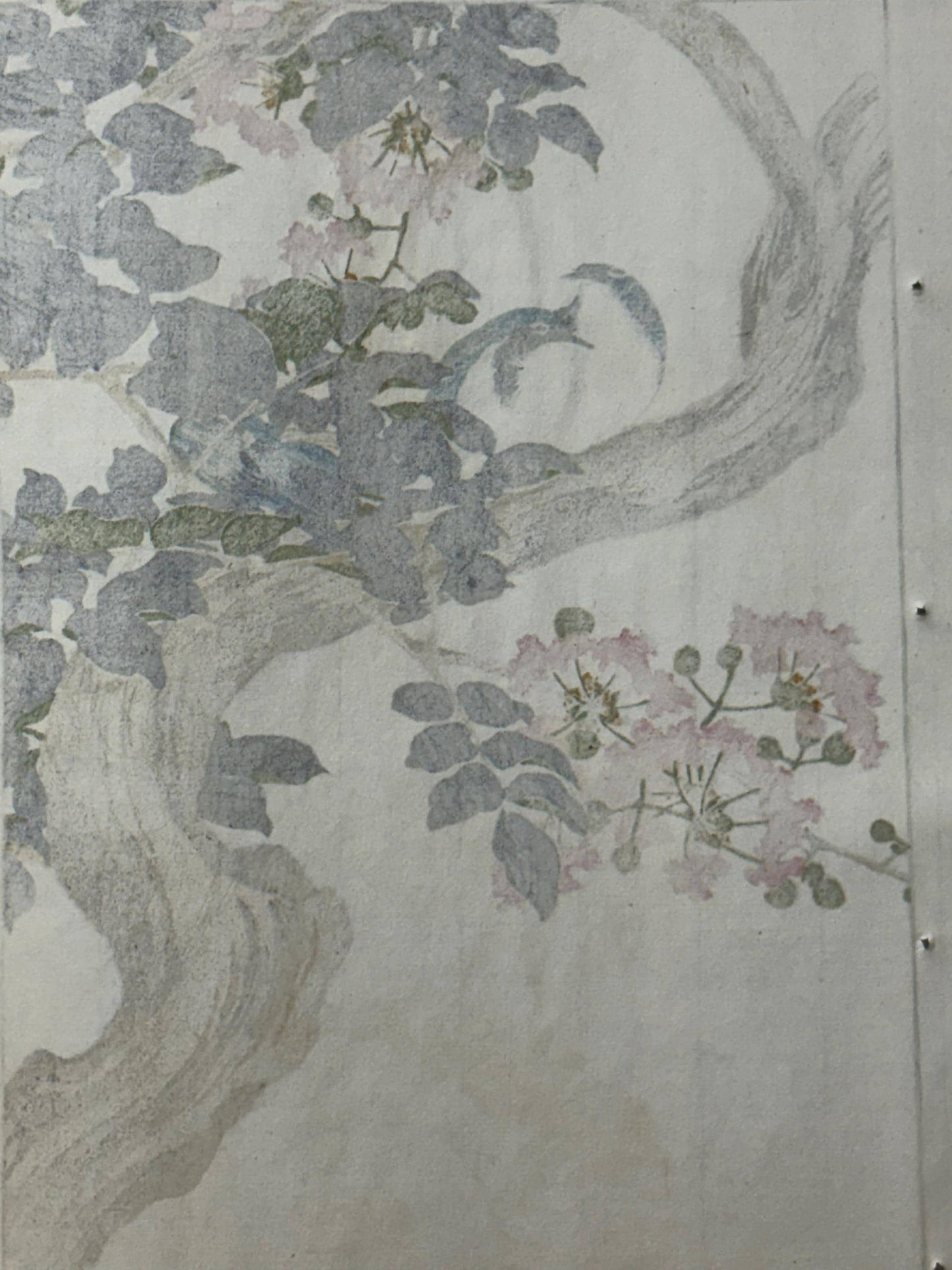 1892,Japanese Antique Original Woodcut Print, Imao Keinen, "Crape-myrtle, Siberian blue robin"