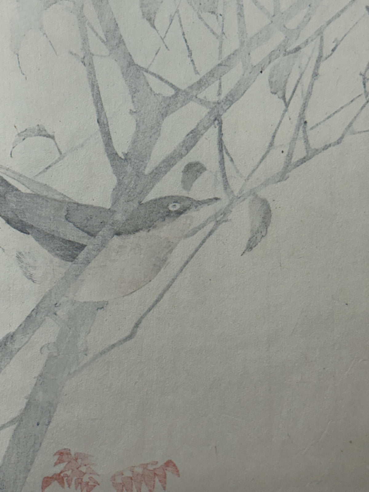 1892,Japanese Antique Original Woodcut Print, Imao Keinen, "Leaf cherry, Dusky thrush"
