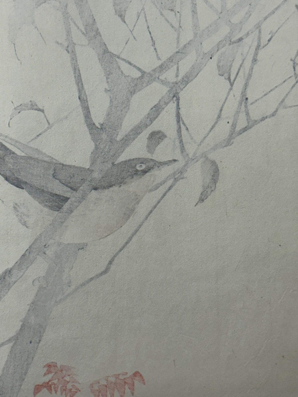 1892,Japanese Antique Original Woodcut Print, Imao Keinen, "Leaf cherry, Dusky thrush"