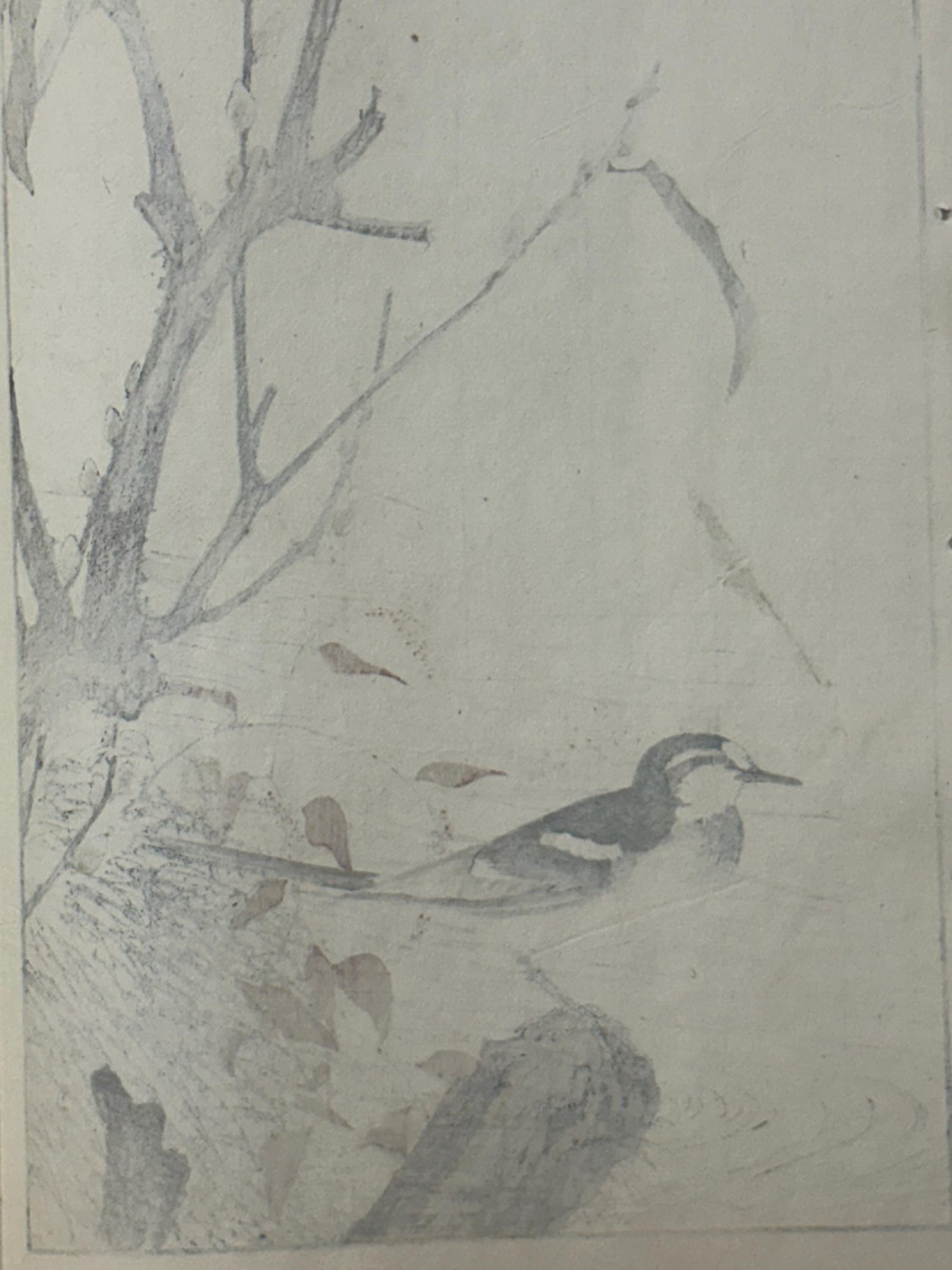 1892,Japanese Antique Original Woodcut Print, Imao Keinen, "Riverside willow, Wagtail"