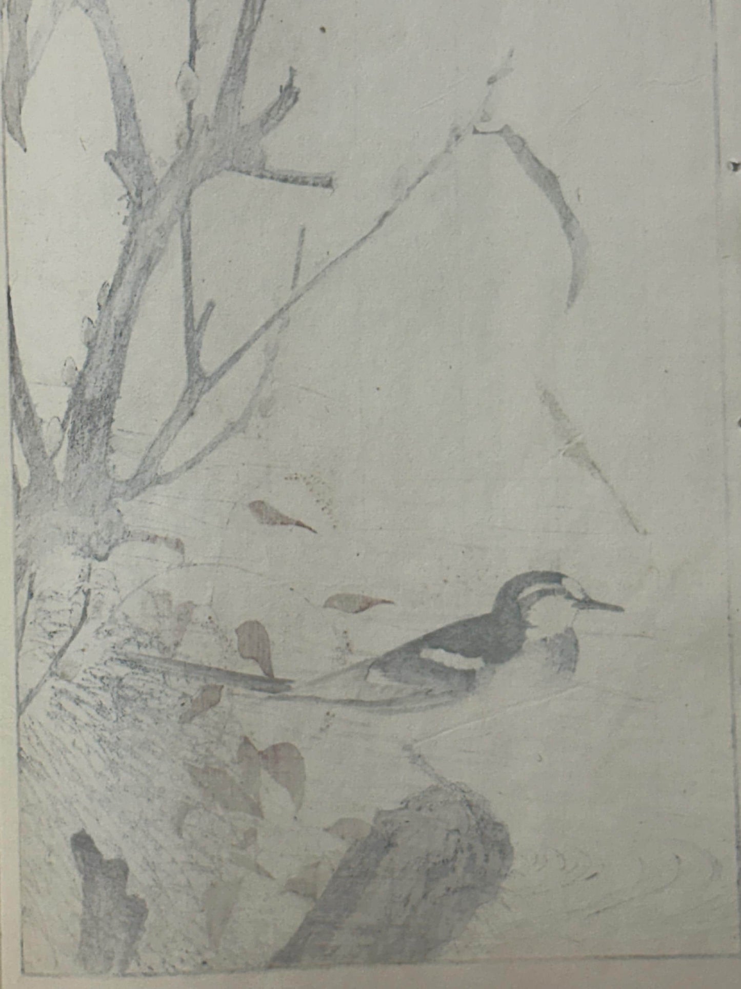 Japanese Antique Original Woodcut Print, Imao Keinen, "Riverside willow, Wagtail"