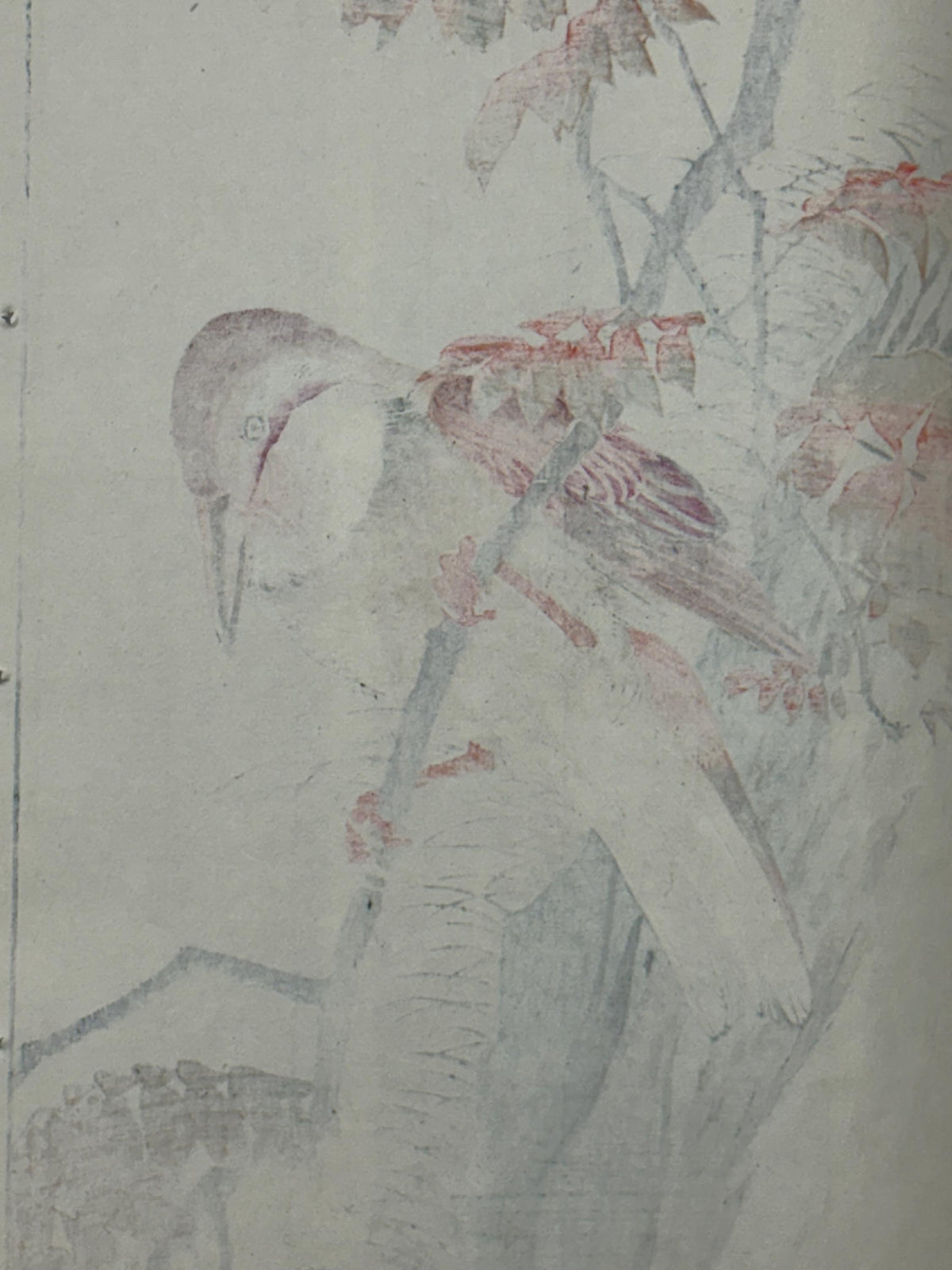 Japanese Antique Original Woodcut Print, 1892, Imao Keinen, "Wax tree, Crested kingfisher"