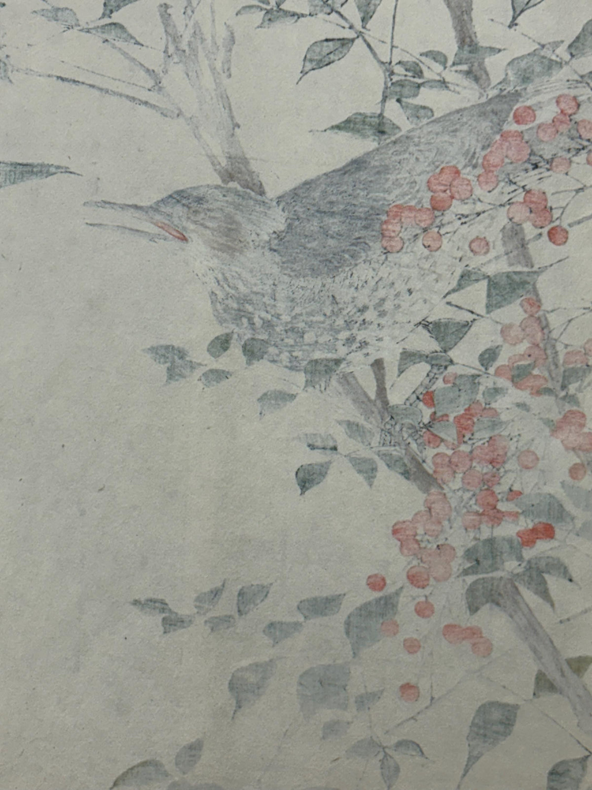 Japanese Antique Original Woodcut Print, 1892, Imao Keinen, "Heavenly bamboo, Bulbul"