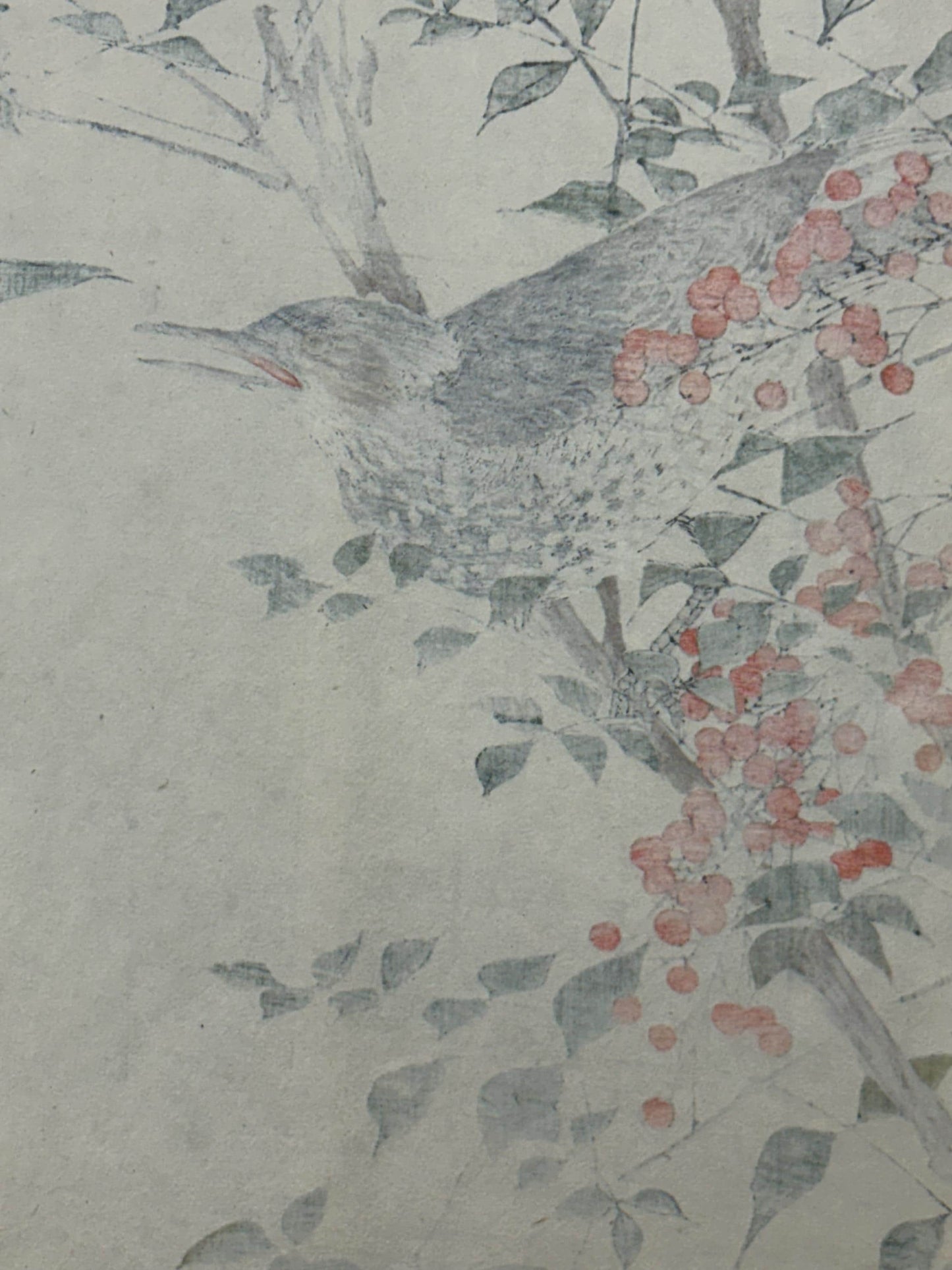 Japanese Antique Original Woodcut Print, 1892, Imao Keinen, "Heavenly bamboo, Bulbul"