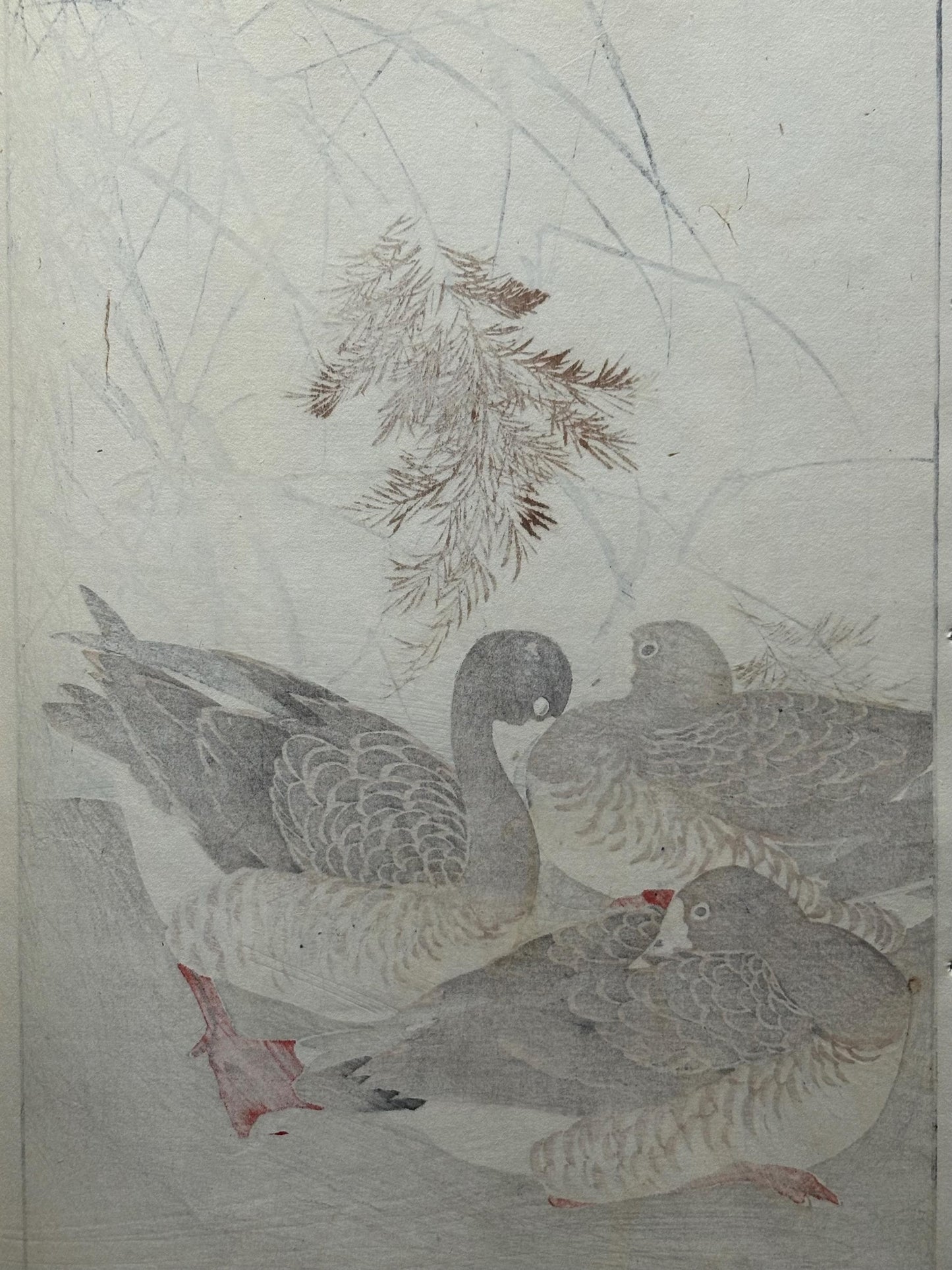 Japanese antique woodcut print, 1892, Imao Keinen, "Common reed, Goose"
