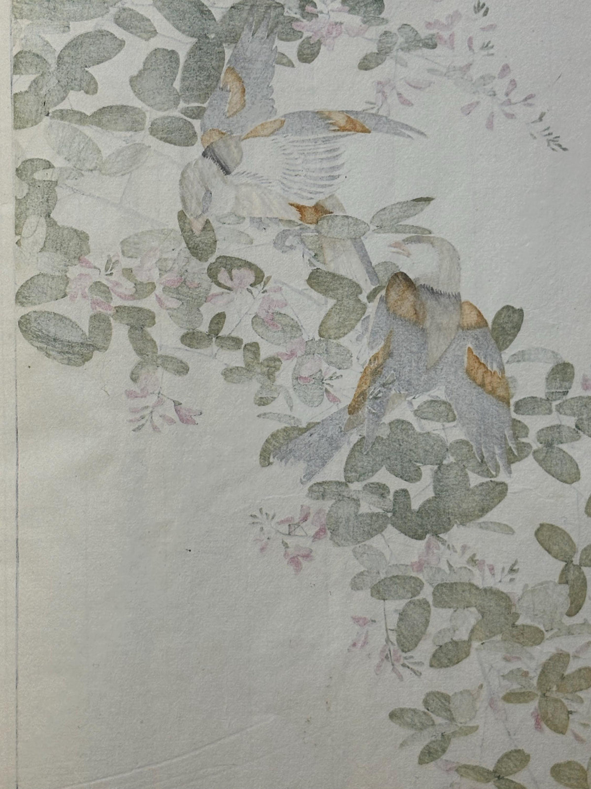 Japanese Antique Original Woodcut Print, 1892, Imao Keinen, "Bush clover, Oriental greenfinch"