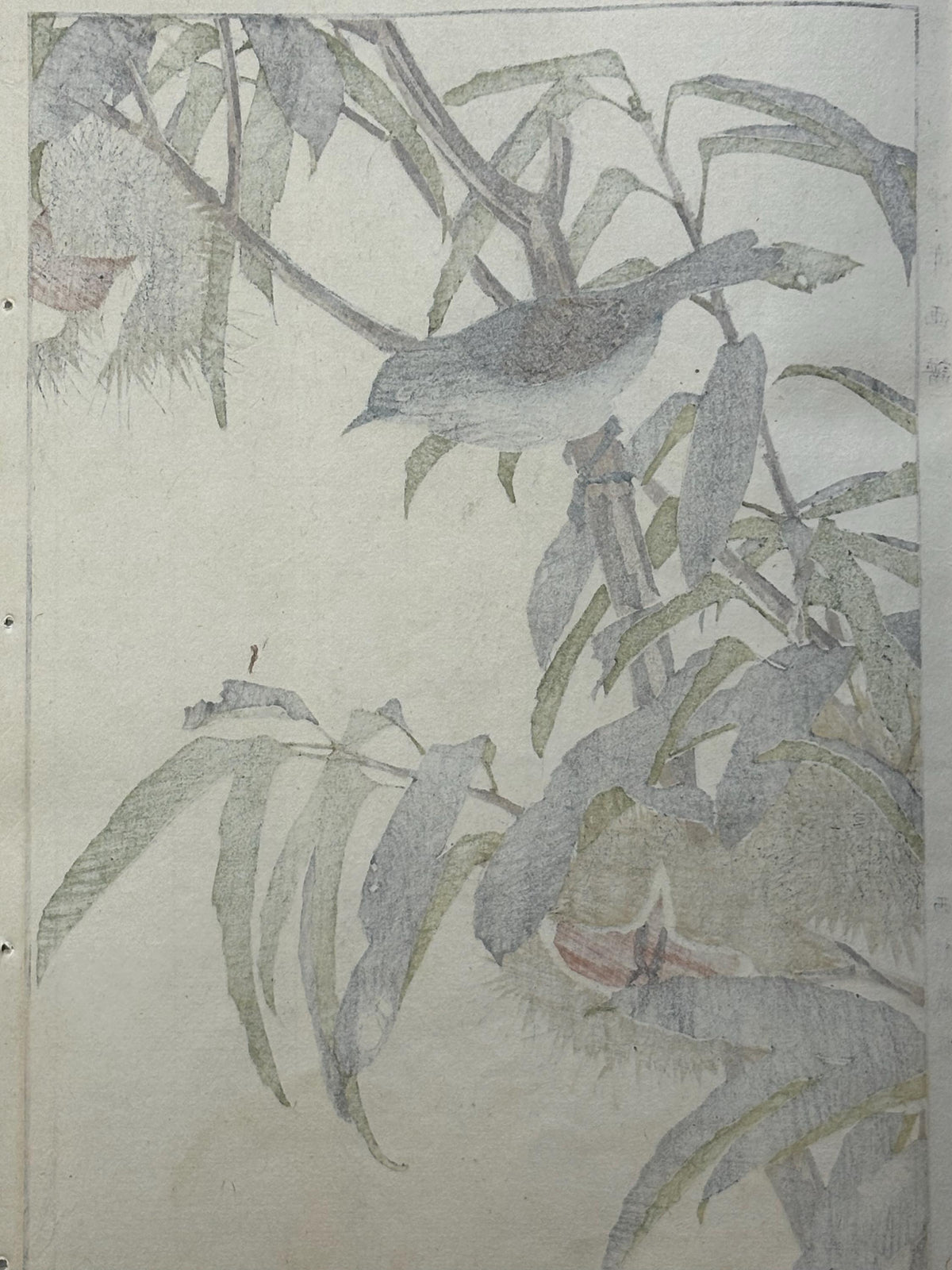 Japanese Antique Original Woodcut Print, 1892, Imao Keinen, "Japanese chestnut, Southern black tit"