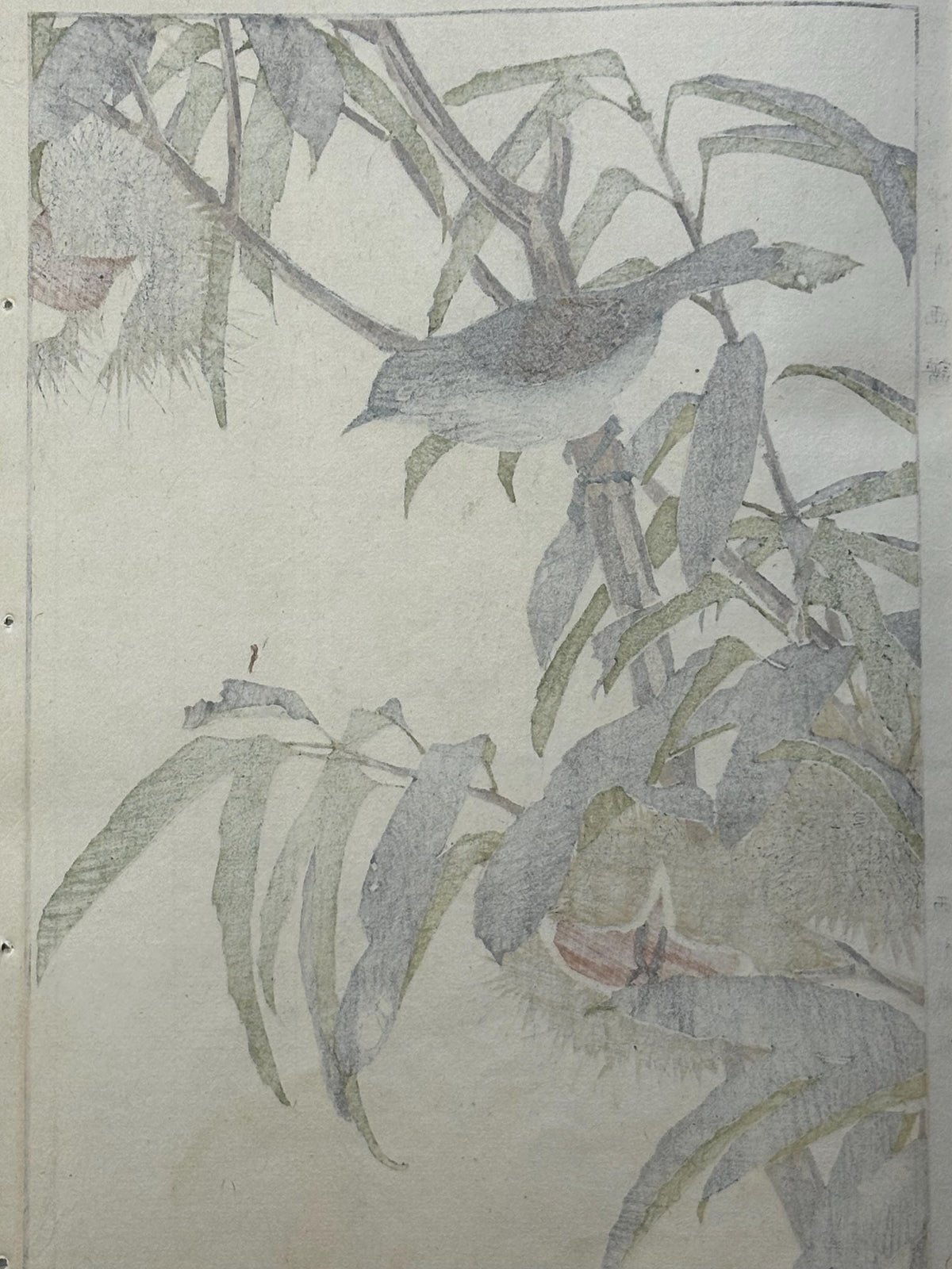 Japanese Antique Original Woodcut Print, 1892, Imao Keinen, "Japanese chestnut, Southern black tit"