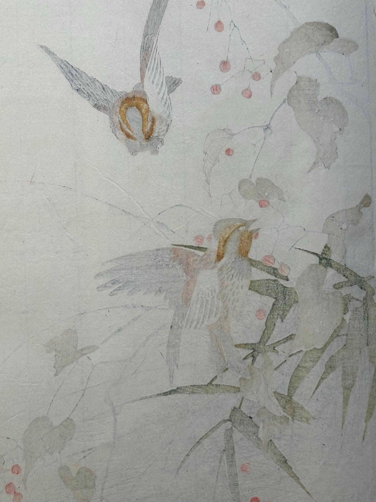 Japanese antique woodcut print, 1892, Imao Keinen, "Solanum, Yellow-throated bunting"