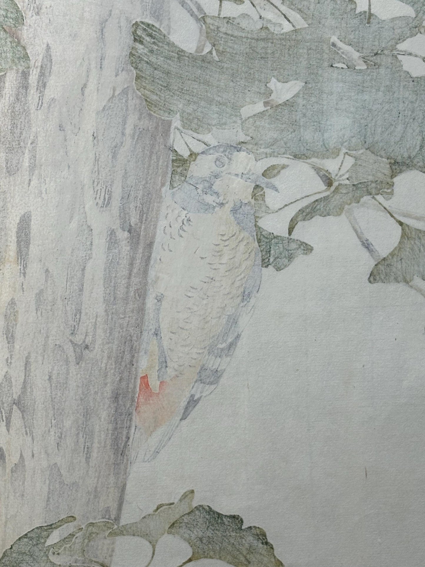 Japanese antique woodcut print, 1892, Imao Keinen, "Ginkgo, Woodpecker"