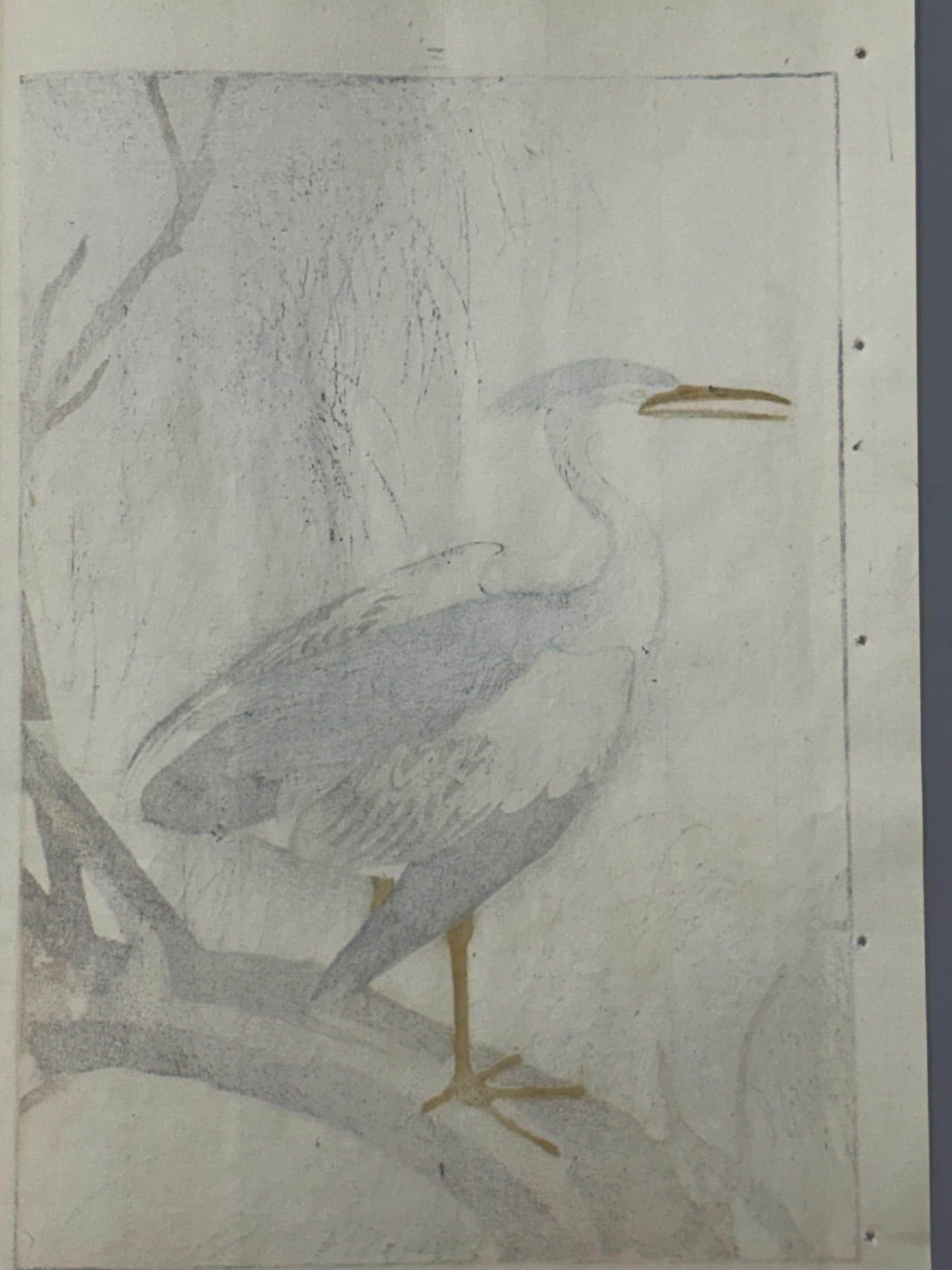 Japanese Antique Original Woodcut Print, 1892, Antique Original Woodcut Print, Imao Keinen, "Willow, Black-crowned night heron Night heron"