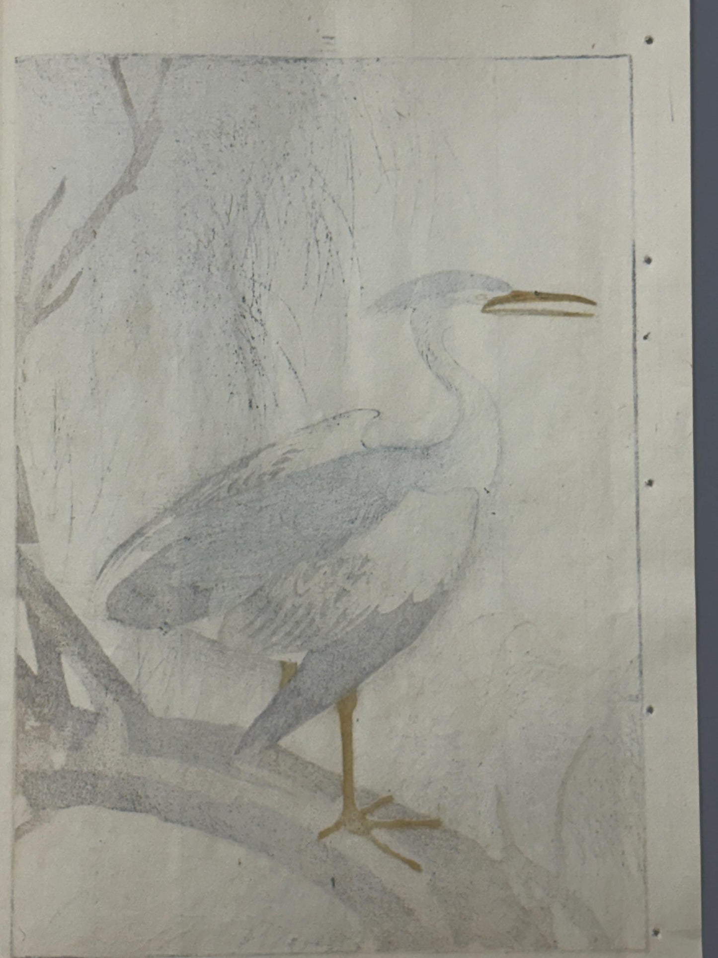 Japanese Antique Original Woodcut Print, 1892, Imao Keinen, "Willow, Black-crowned night heron Night heron"