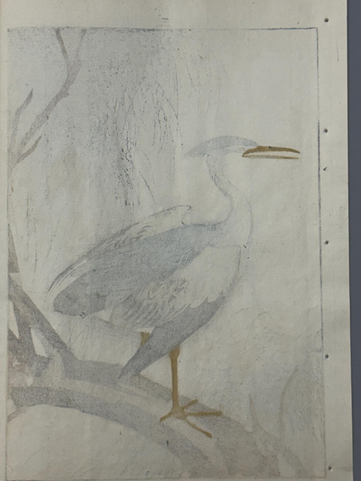 Japanese Antique Original Woodcut Print, 1892, Imao Keinen, "Willow, Black-crowned night heron Night heron"