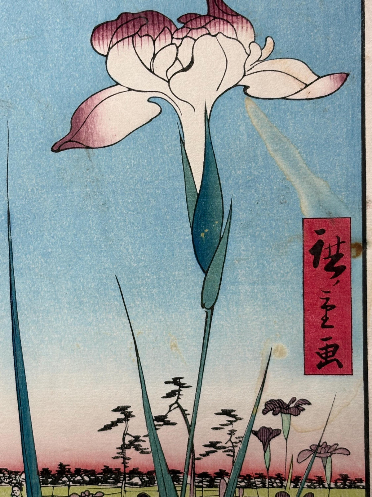 Japanese Ukiyoe, Woodblock print, "Horikiri Iris Garden (Horikiri no hanashôbu)".