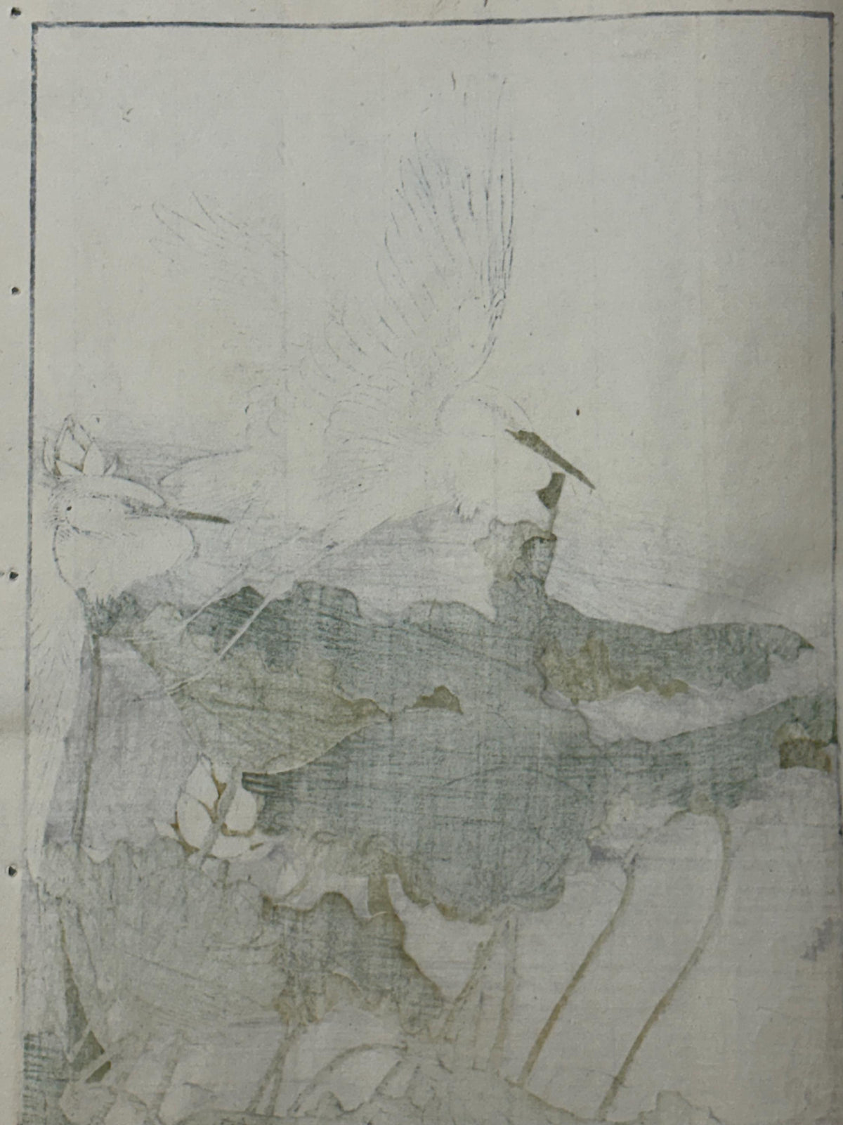 Japanese antique woodcut print, 1892, Imao Keinen, "Lotus flower, Egret"