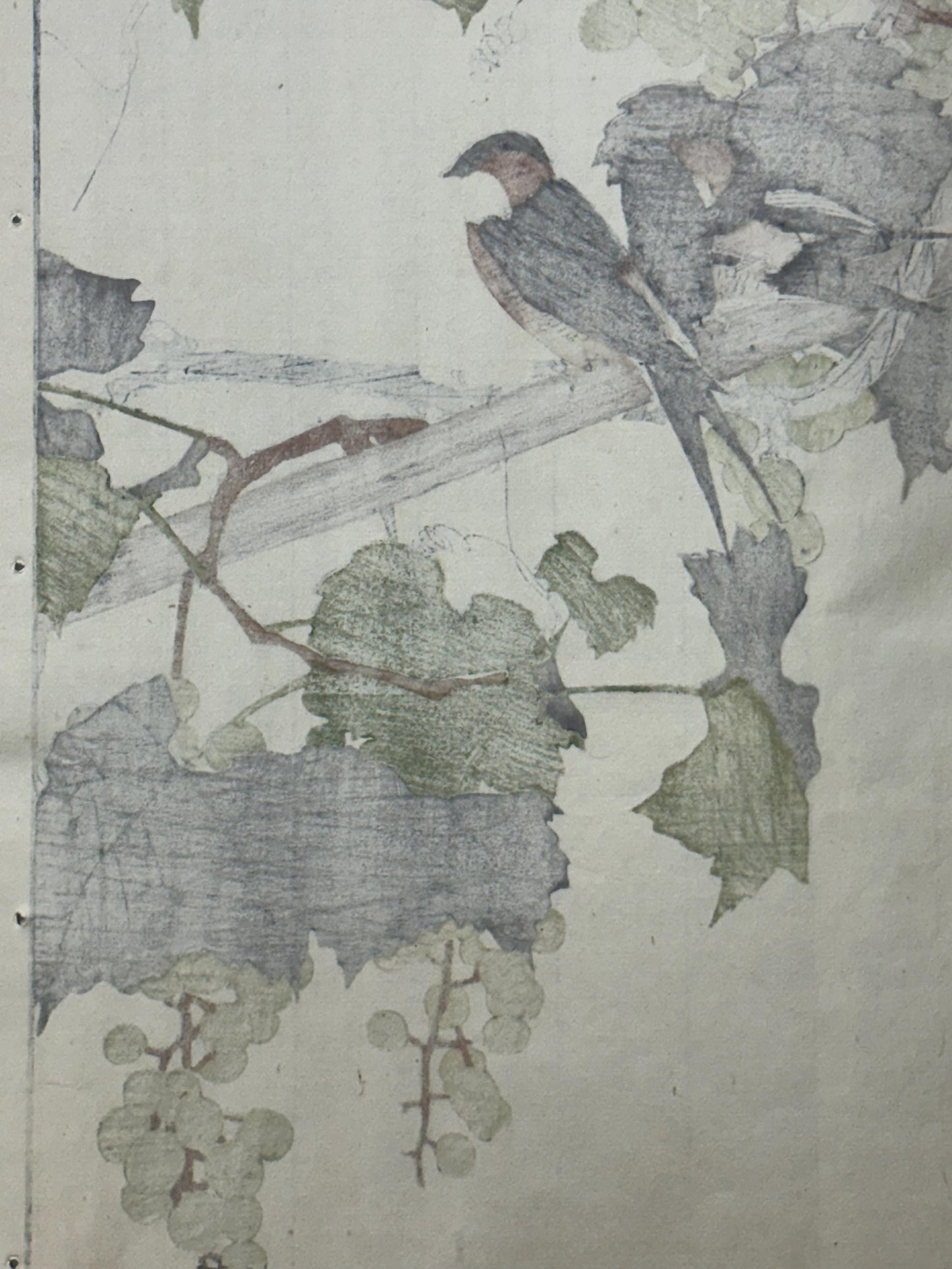 Japanese Antique Original Woodcut Print, 1892, Imao Keinen, "Grape, Swallow"