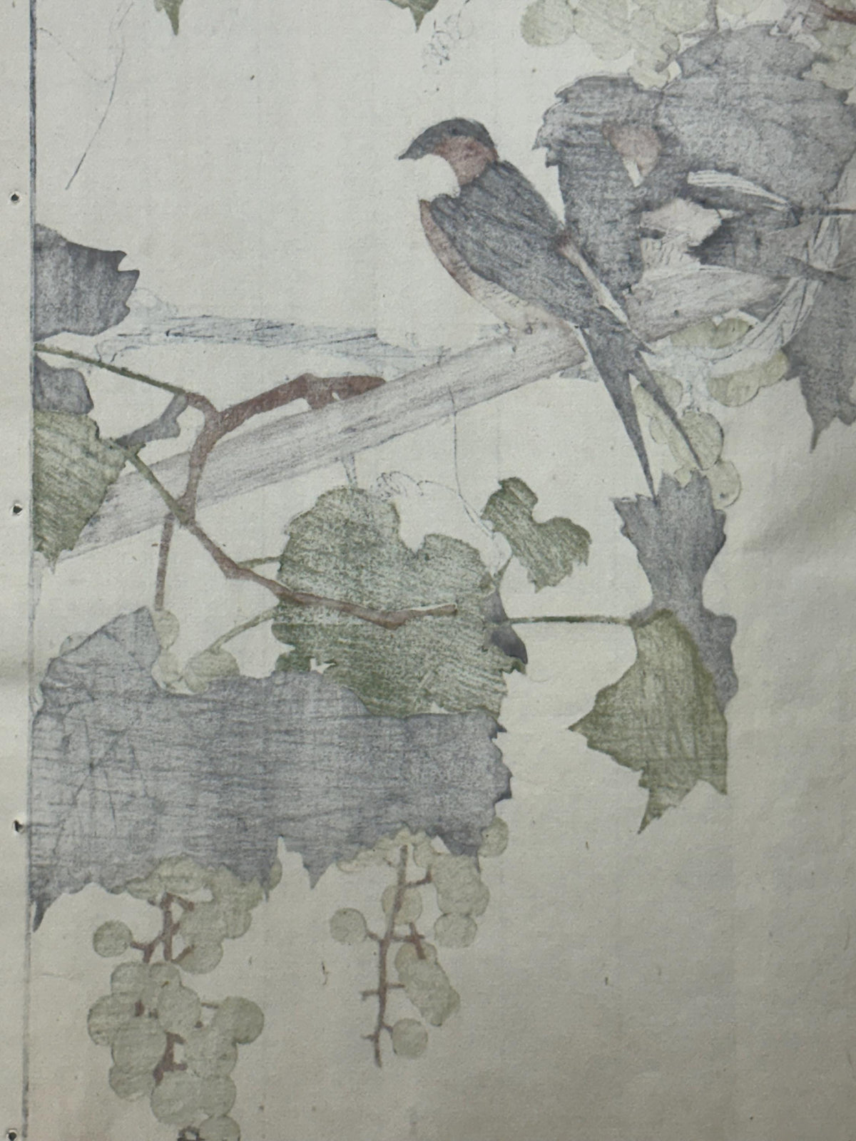 Japanese Antique Original Woodcut Print, 1892, Imao Keinen, "Grape, Swallow"