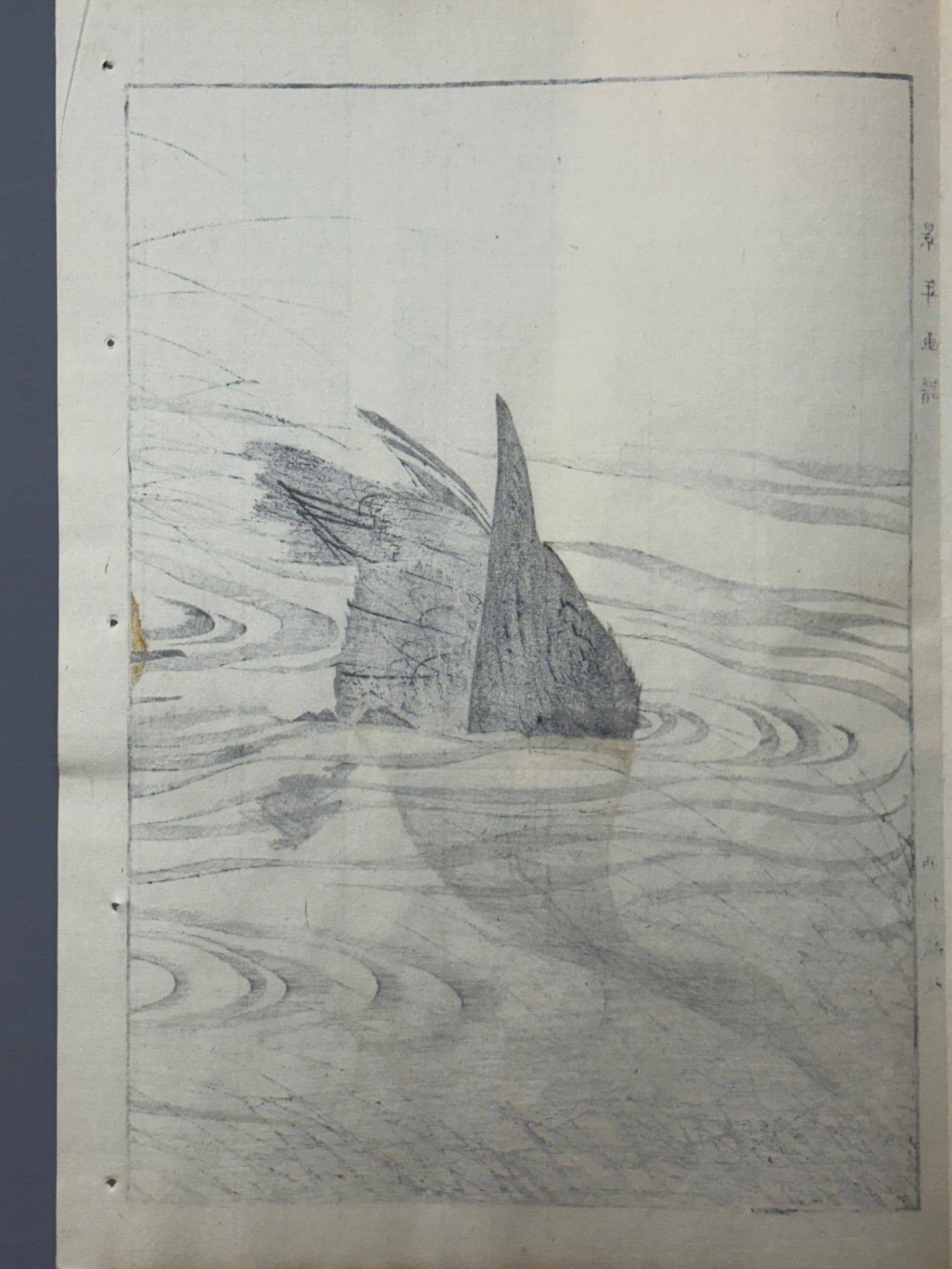 1892,Japanese Antique Original Woodcut Print, Imao Keinen, "Clematis ternifora, Thatch, Cormorant"