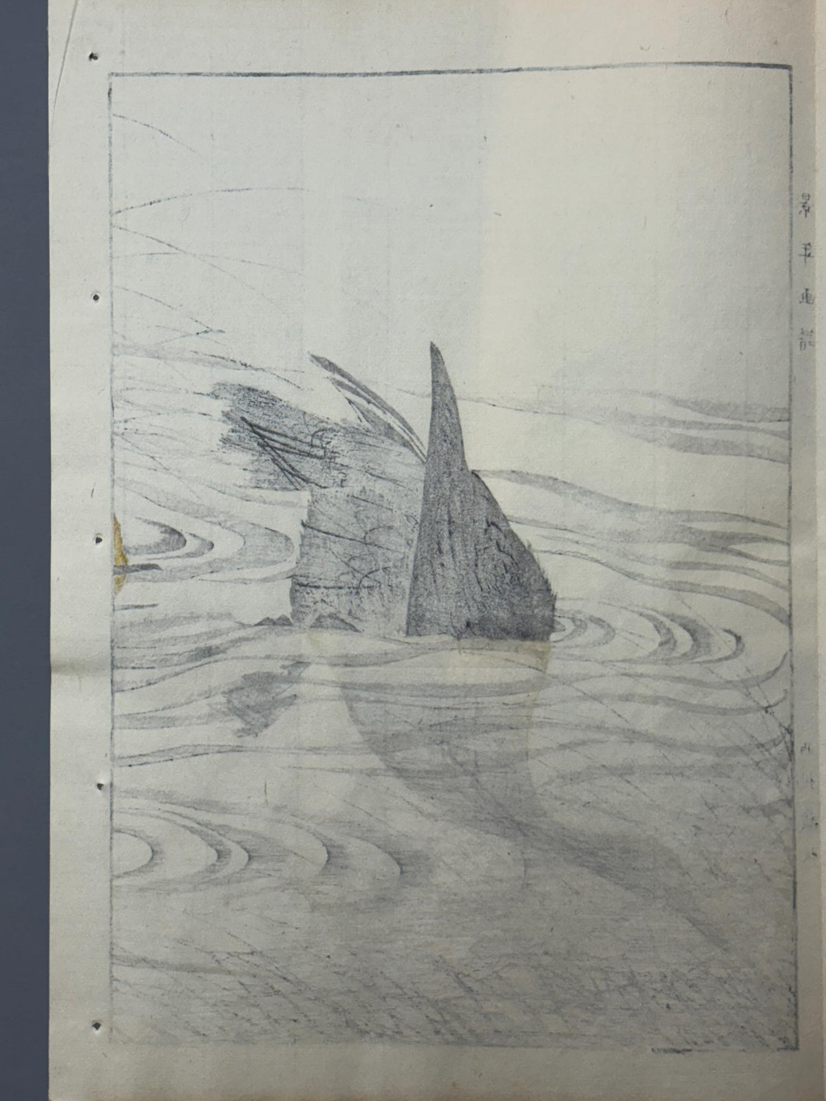 1892,Japanese Antique Original Woodcut Print, Imao Keinen, "Clematis ternifora, Thatch, Cormorant"