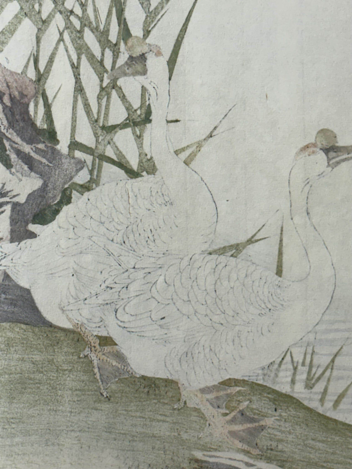 1892,Japanese Antique Original Woodcut Print, Imao Keinen, "Reed, Goose"