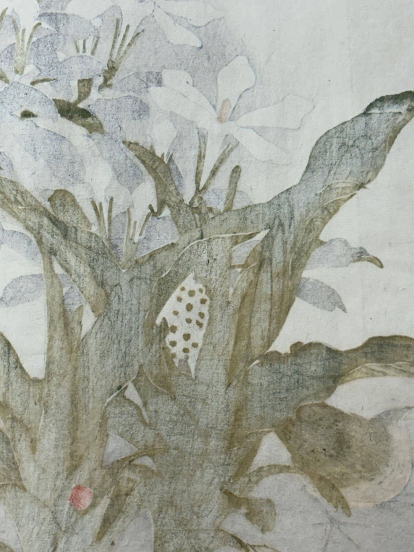 Japanese Antique Original Woodcut Print, 1892, Imao Keinen, "Common gardenia, Rohdea, Gray bunting"