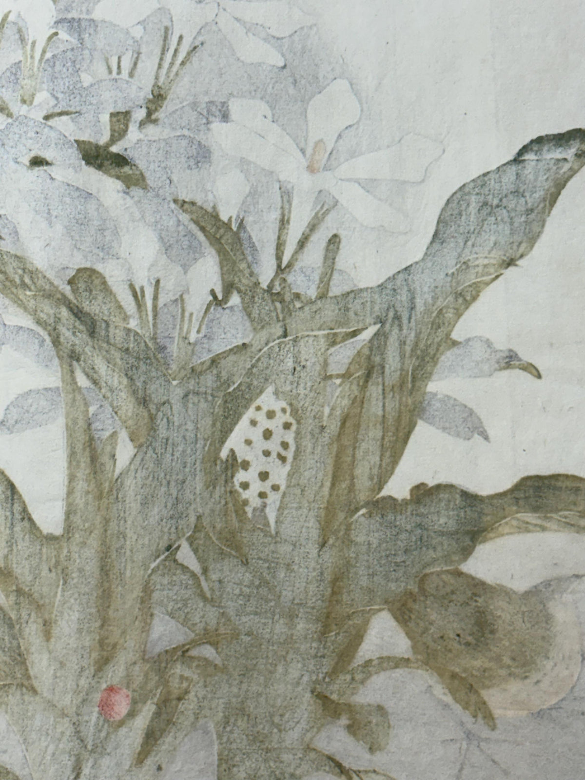 Japanese Antique Original Woodcut Print, 1892, Imao Keinen, "Common gardenia, Rohdea, Gray bunting"