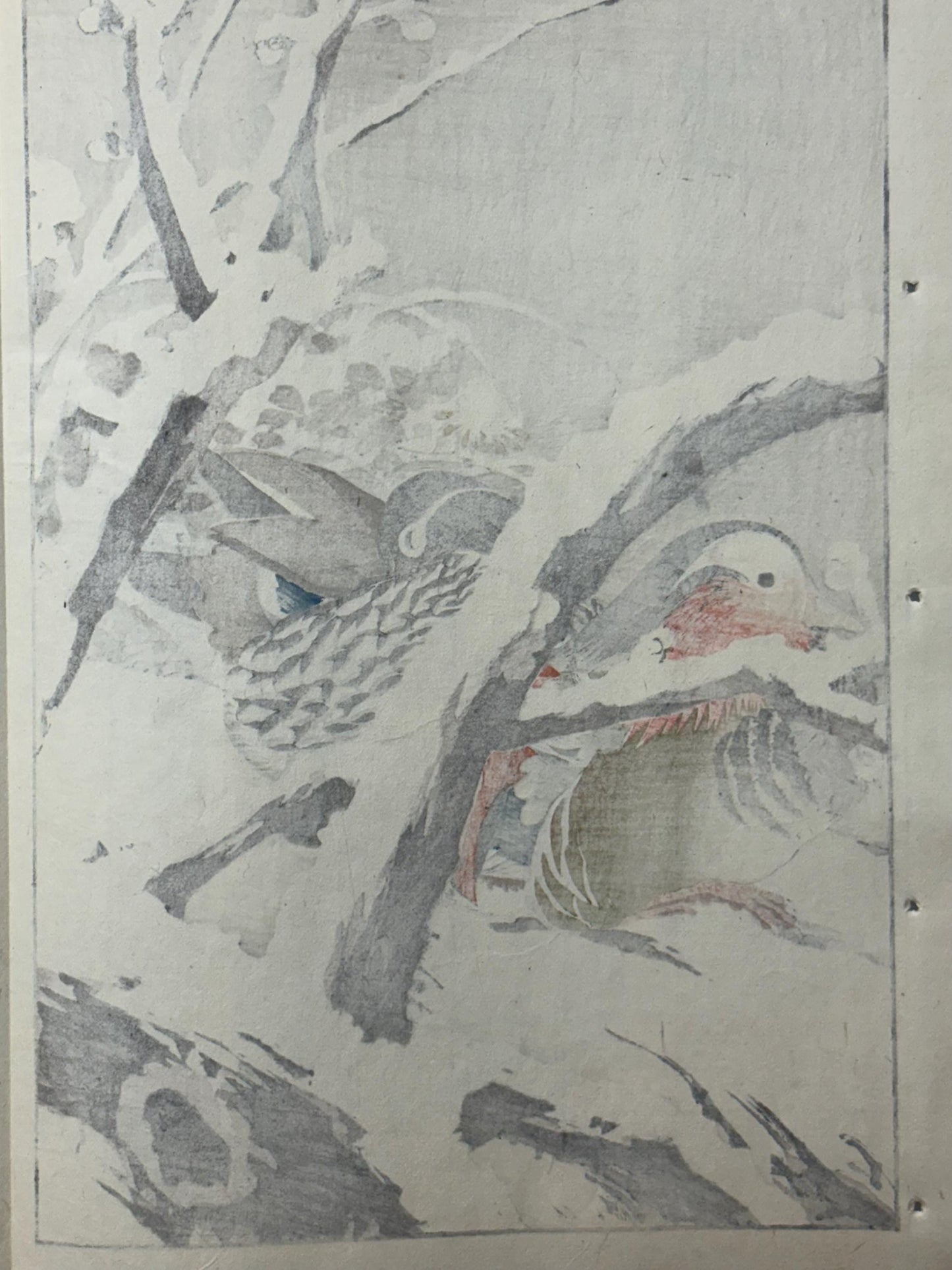 Japanese antique woodcut print, 1892, Imao Keinen, "Japanese apricot, Shrike, Mandarin duck"