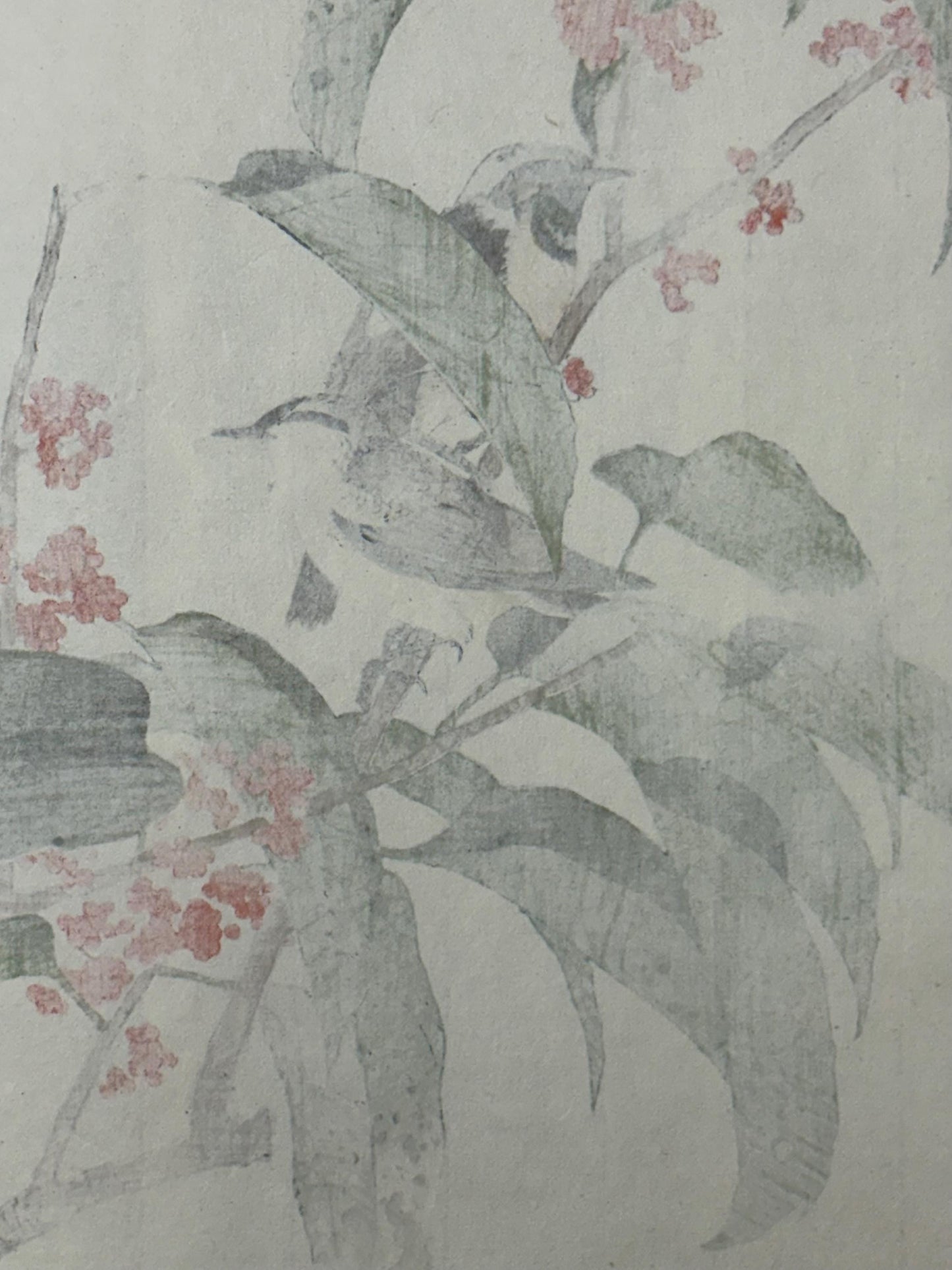 Japanese Antique Original Woodcut Print, 1892, Imao Keinen, "Tamamizuki, Ryukyu's chats"