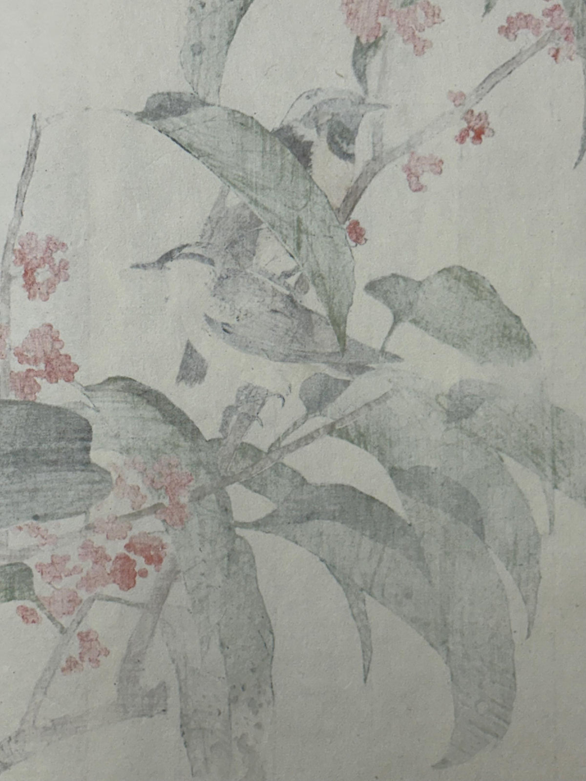 Japanese Antique Original Woodcut Print, 1892, Imao Keinen, "Tamamizuki, Ryukyu's chats"
