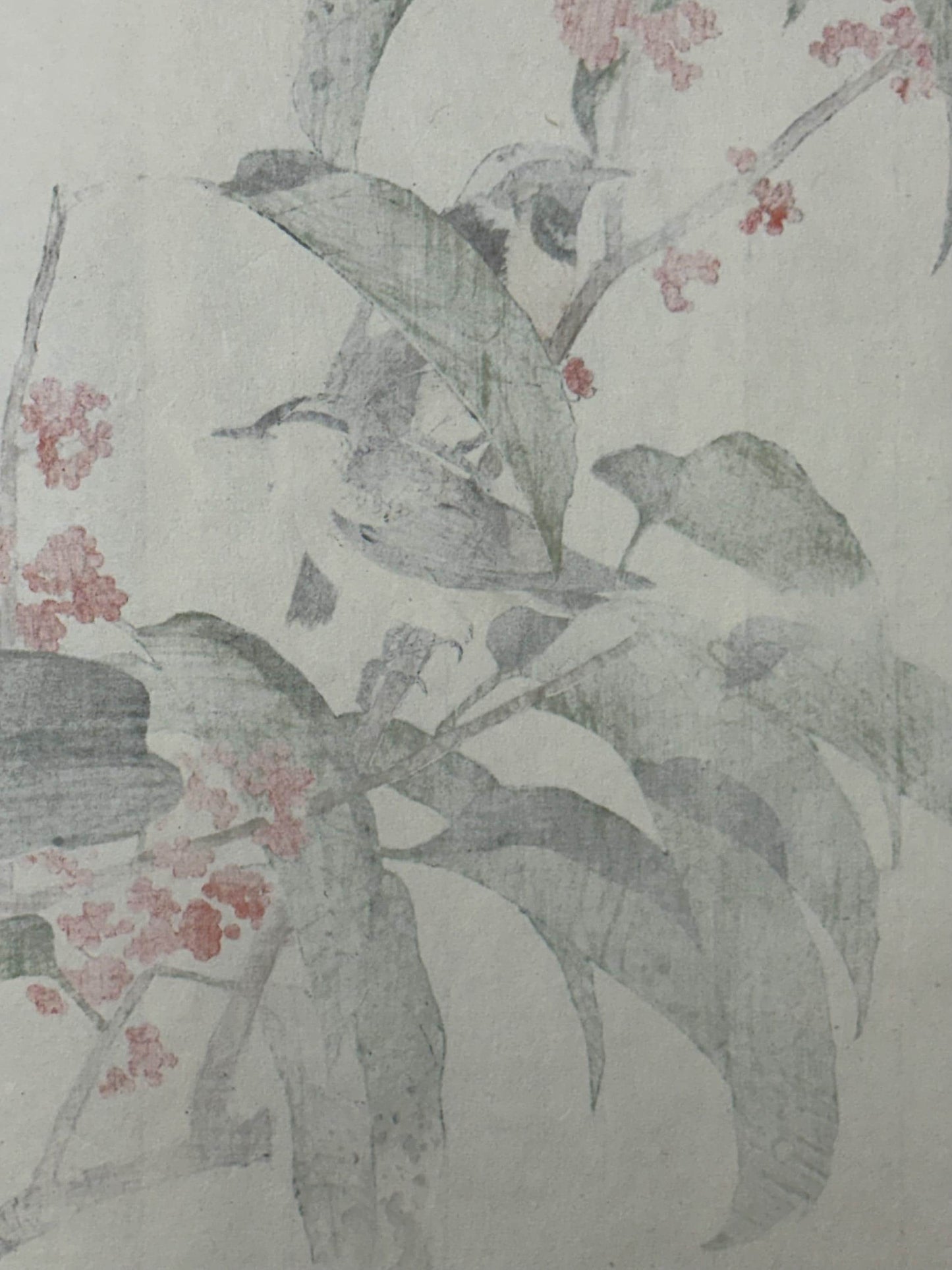 Japanese Antique Original Woodcut Print, 1892, Imao Keinen, "Tamamizuki, Ryukyu's chats"