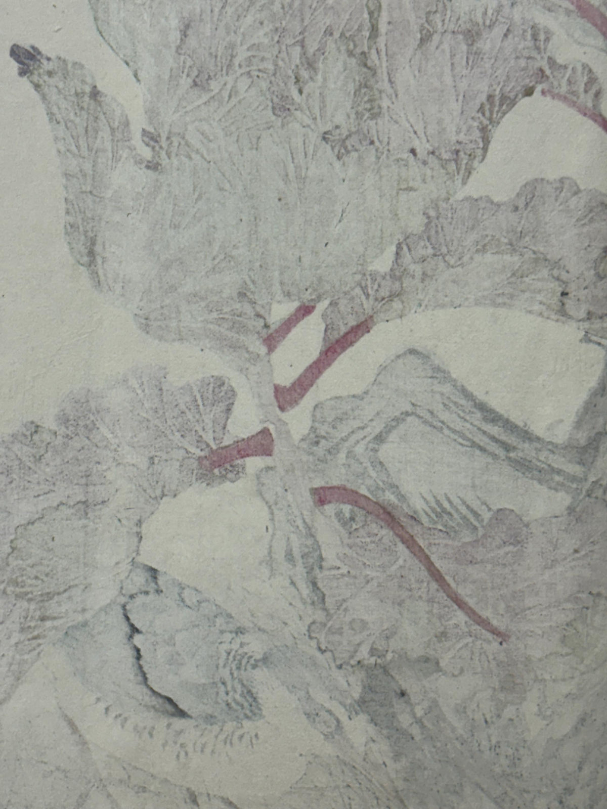 1892,Japanese Antique Original Woodcut Print, Imao Keinen, "Peony, Kawarabashiri"