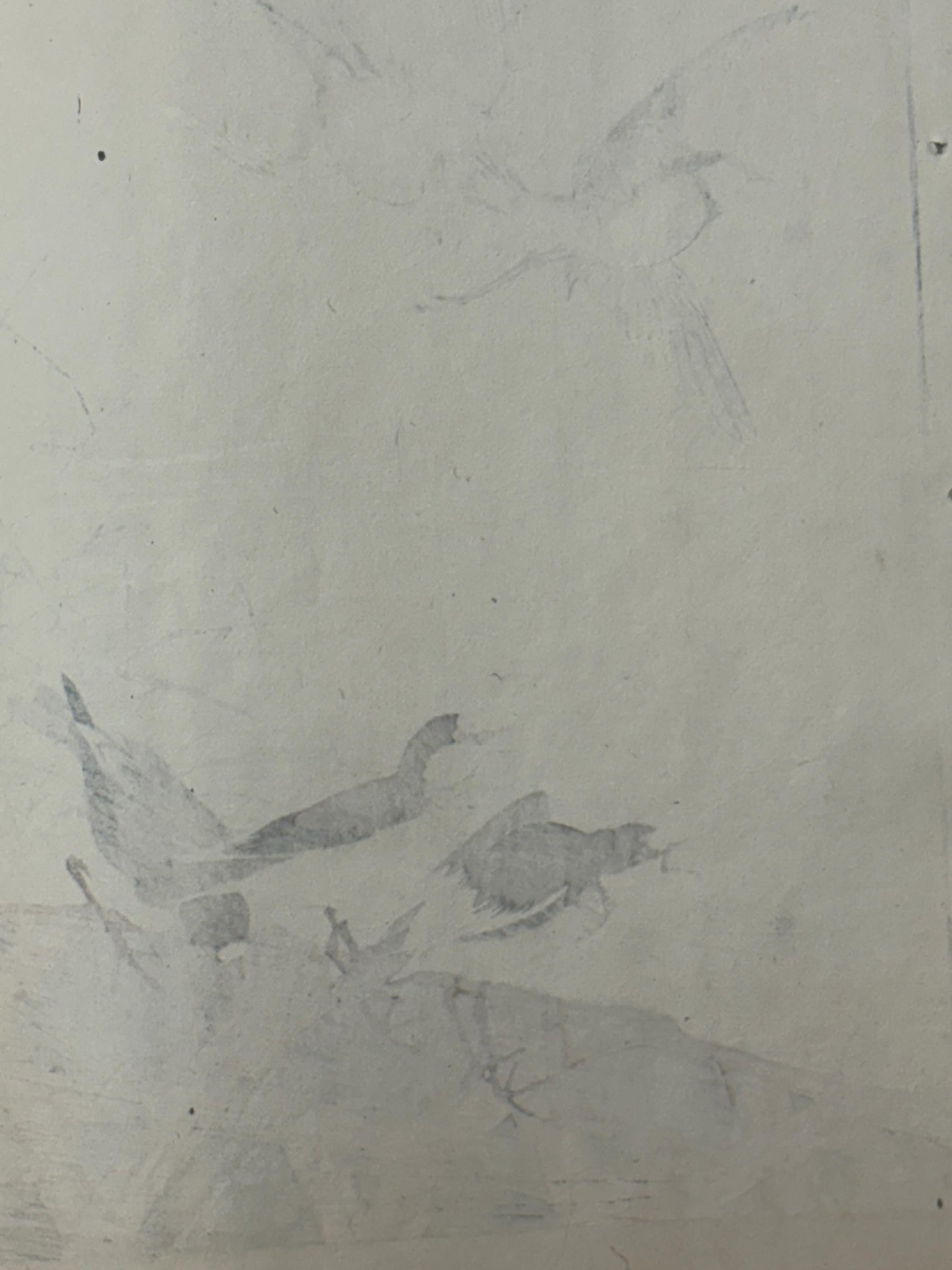 1892,Japanese Antique Original Woodcut Print, Imao Keinen, "Thatch, River plover"
