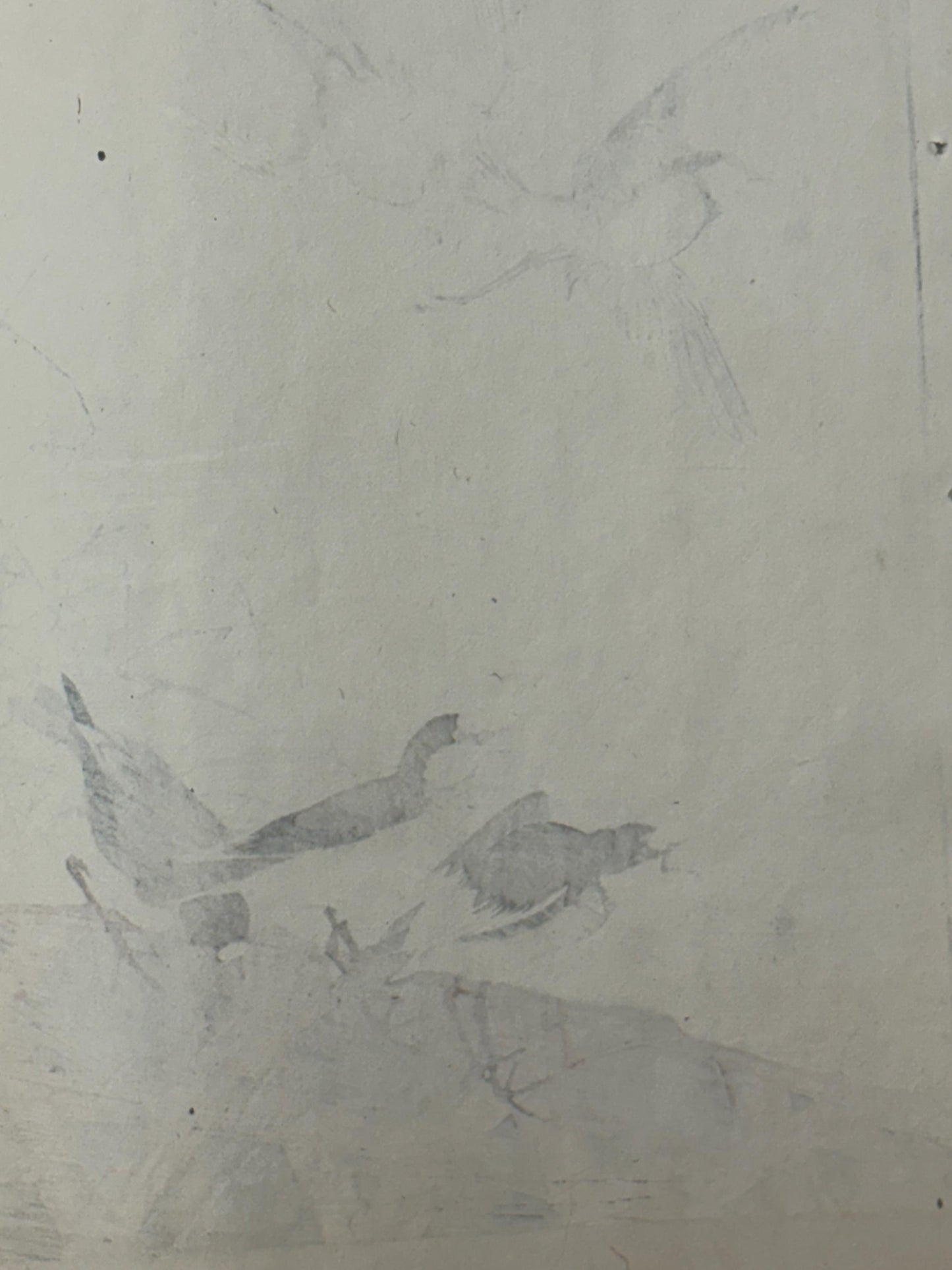 1892,Japanese Antique Original Woodcut Print, Imao Keinen, "Thatch, River plover"
