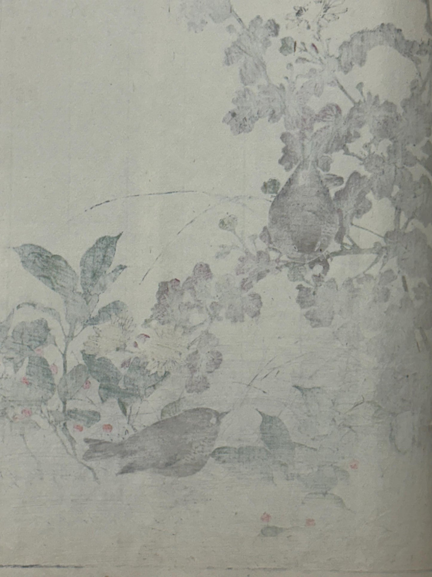 1892,Japanese Antique Original Woodcut Print, Imao Keinen, "Winter chrysanthemum, Ardisia japonica, Eurasian Wren"