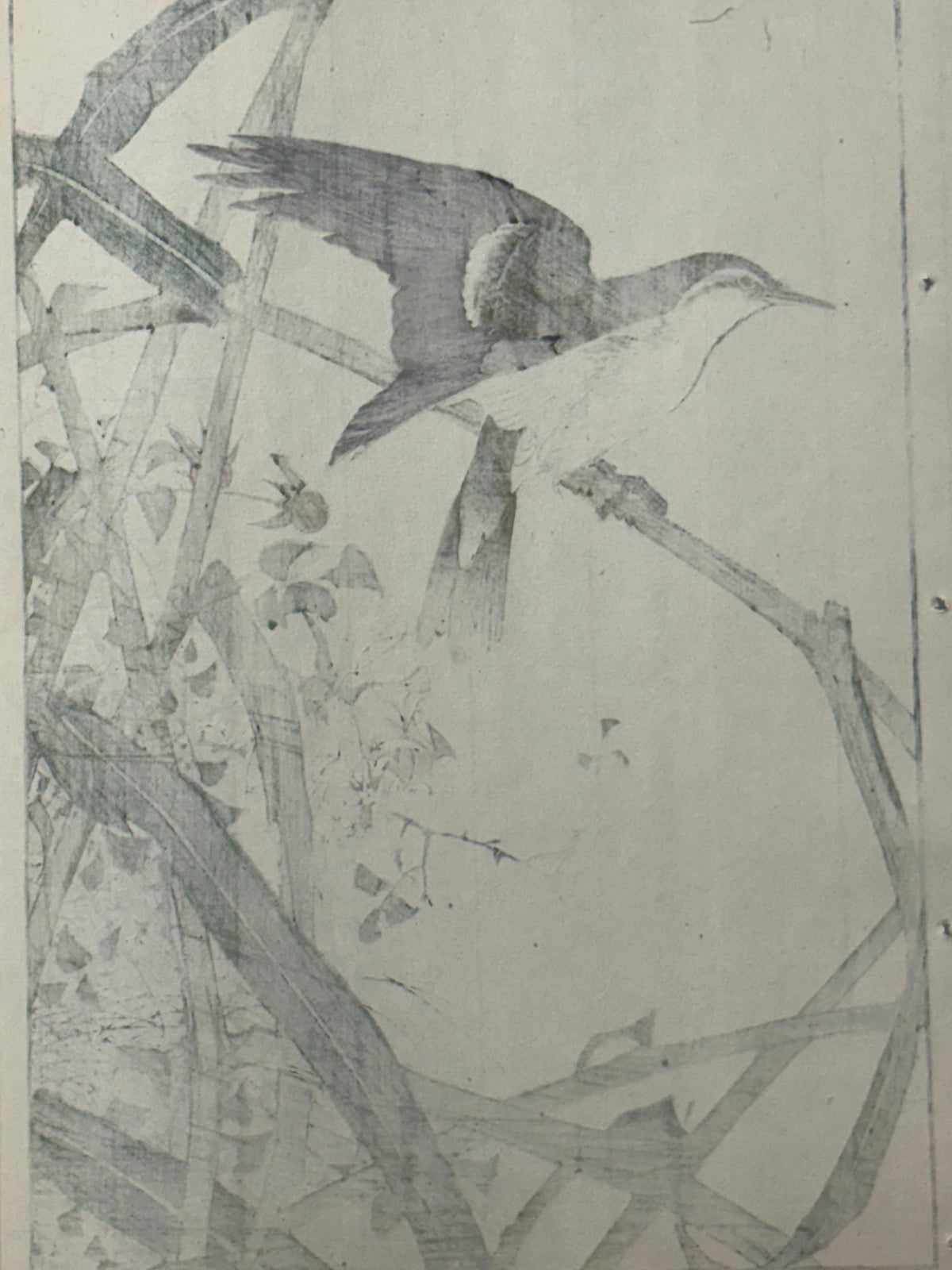 Japanese Antique Original Woodcut Print, 1892, Imao Keinen, "Common reed, Chinese rose, Oriental reed warbler"