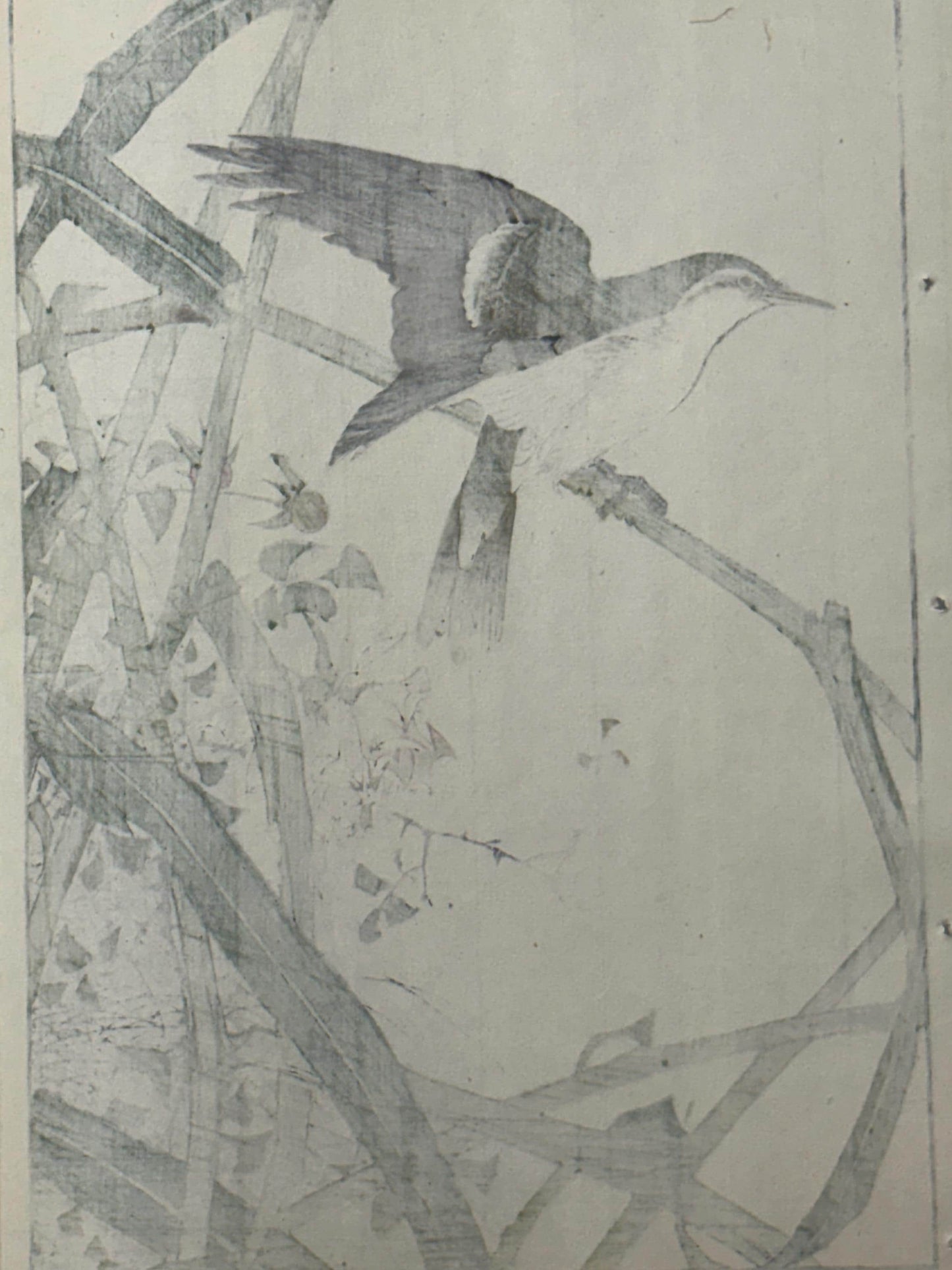 Japanese Antique Original Woodcut Print, 1892, Imao Keinen, "Common reed, Chinese rose, Oriental reed warbler"