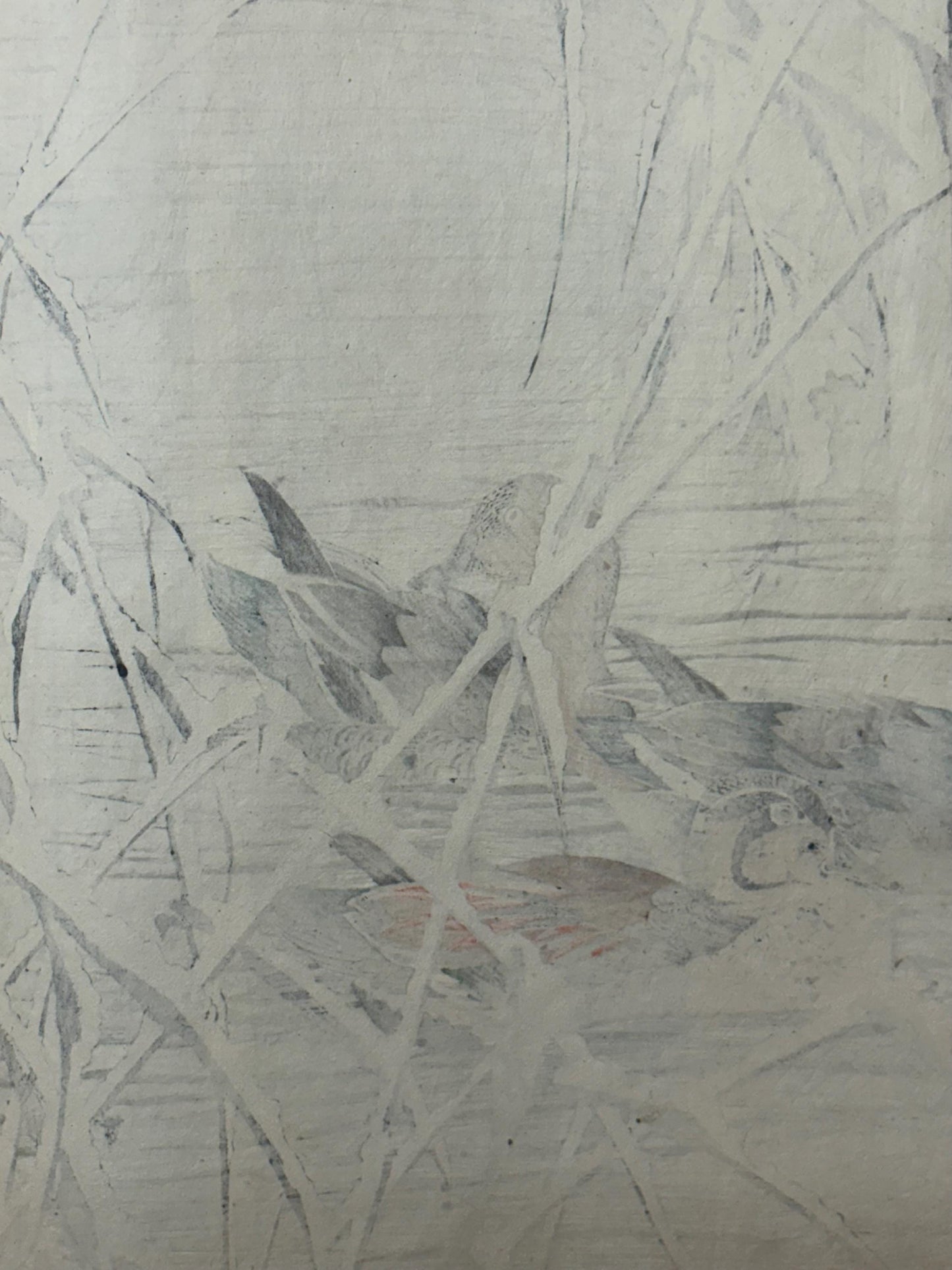 1892, Japanese Original Woodcut Print, Imao Keinen, "Reed, Duck"