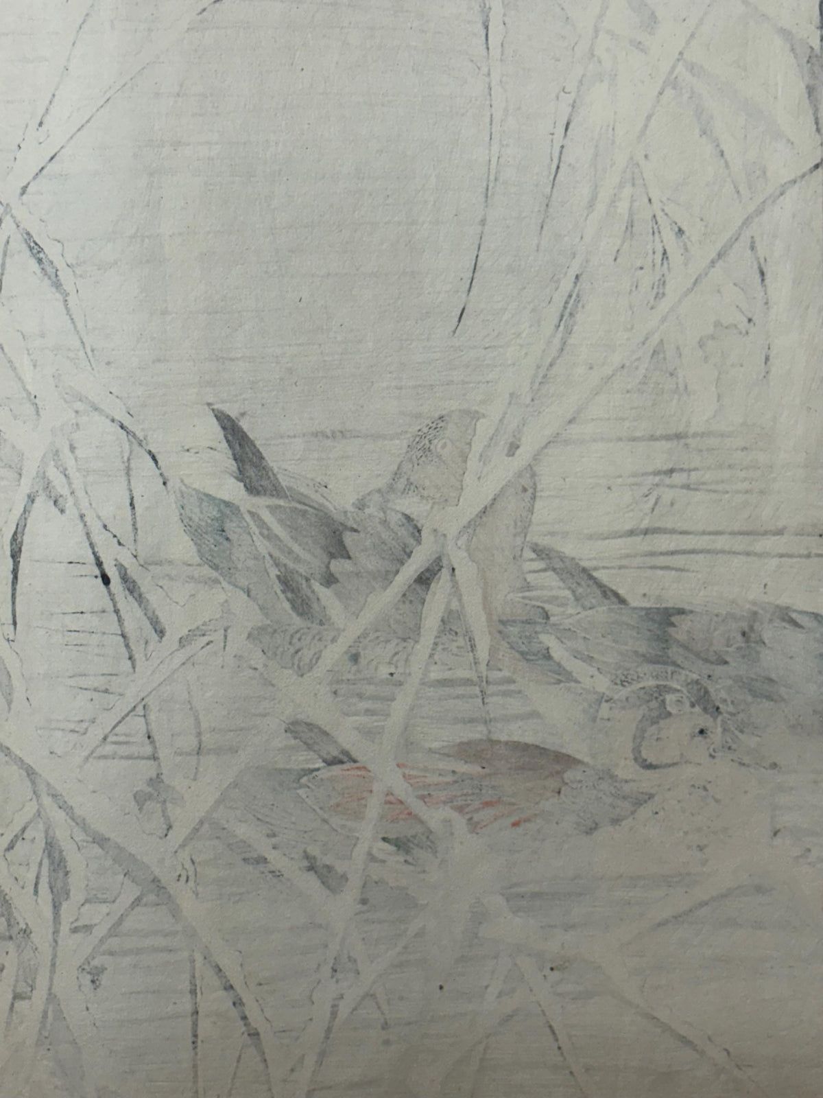1892, Japanese Original Woodcut Print, Imao Keinen, "Reed, Duck"